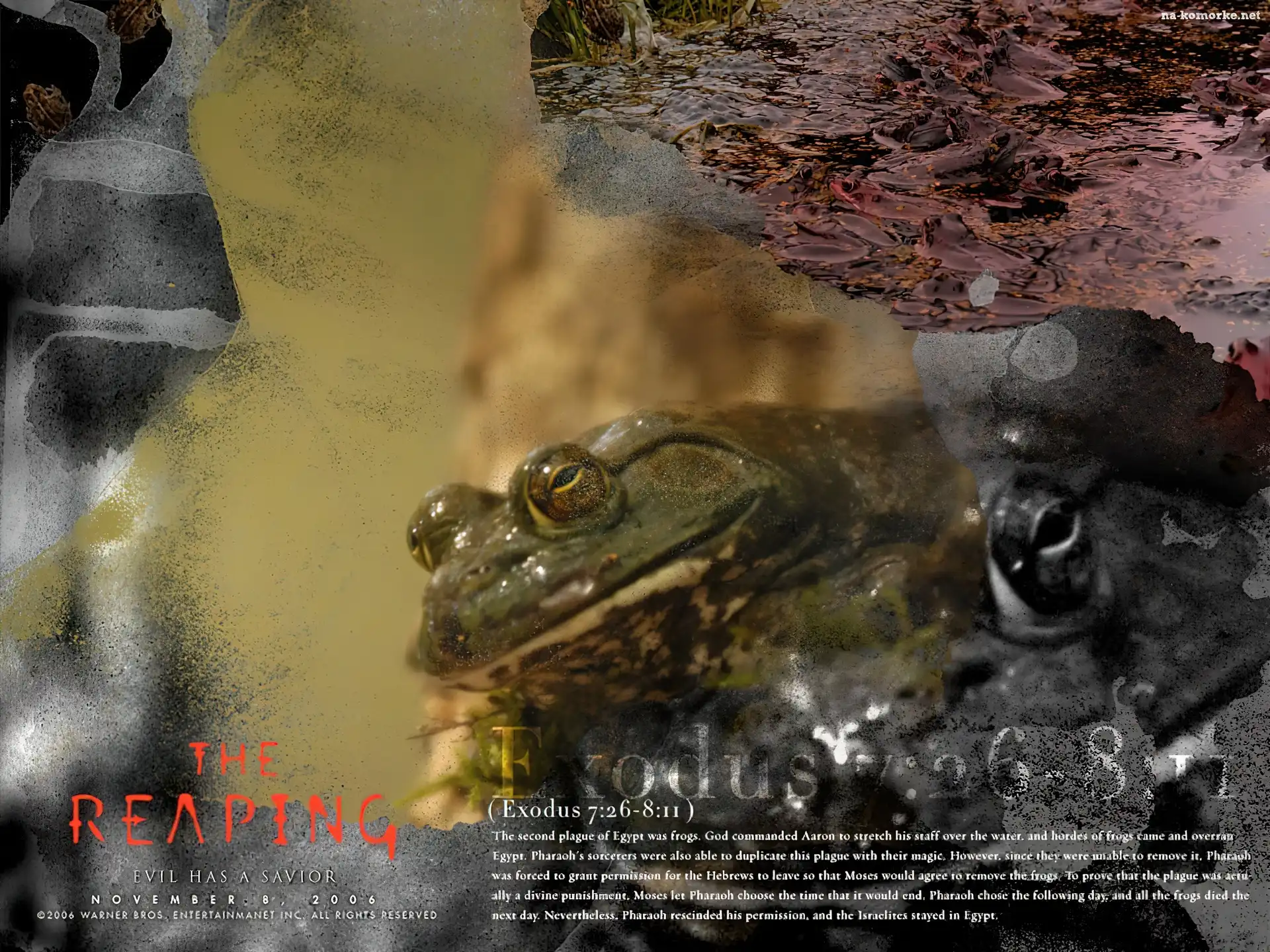 Reaping, żaby, plaga, woda