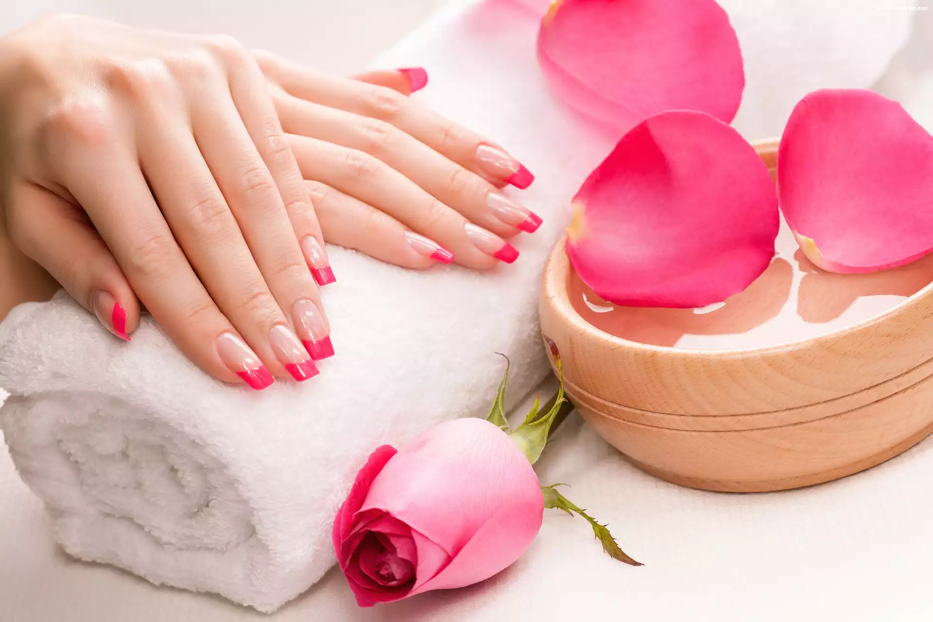 Ręcznik, Manicure, Dłonie, Płatki, Róża