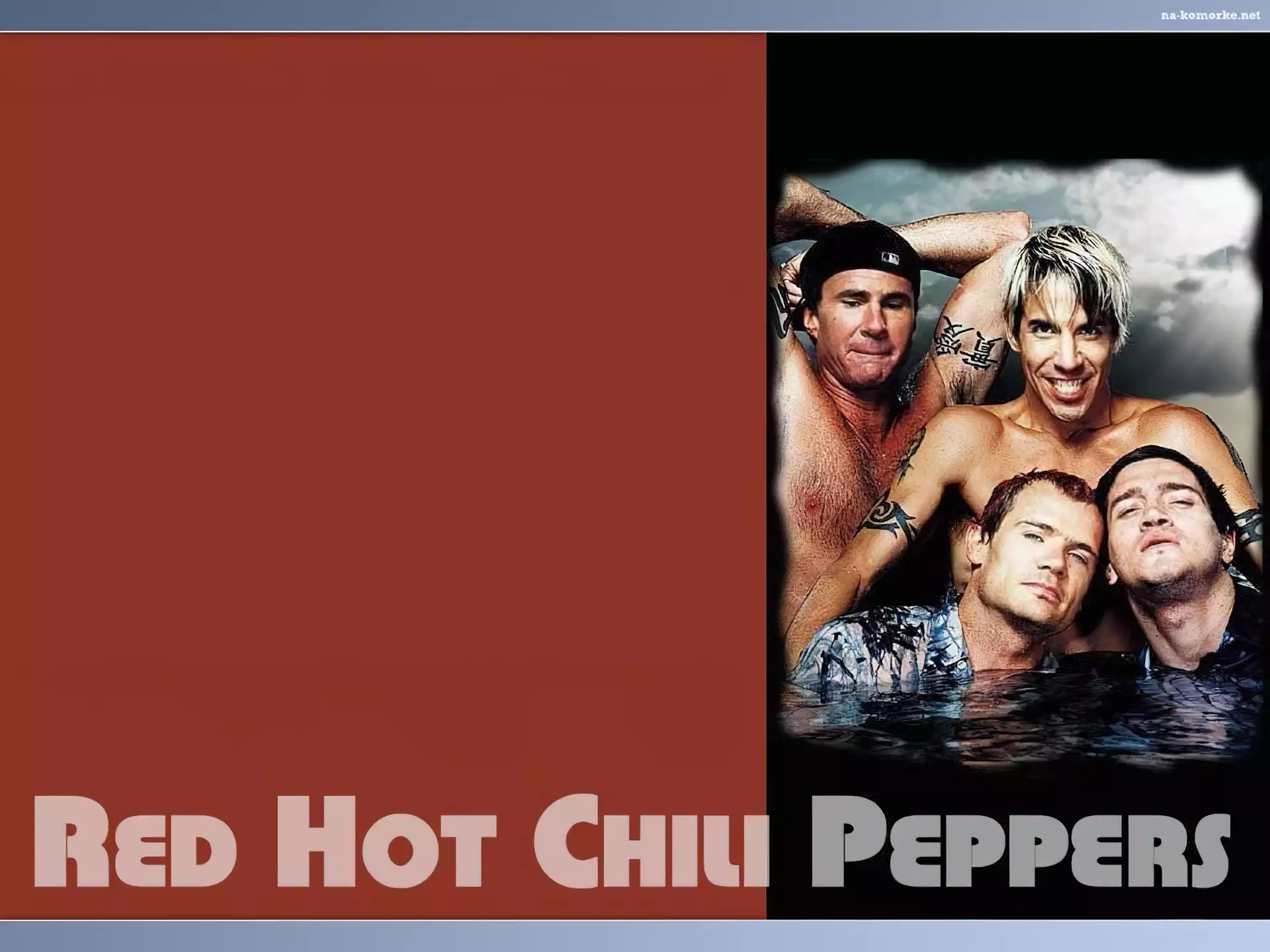 Red Hot Chili Peppers, muzycy