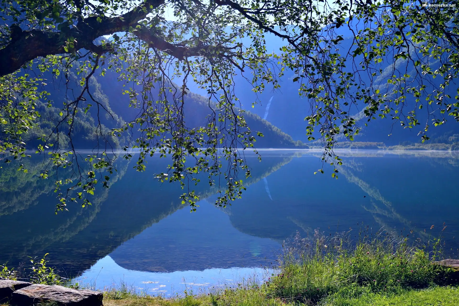 Drzewo, Region Trondelag, Norwegia, Odbicie, Jezioro Eidsvatnet, Góry