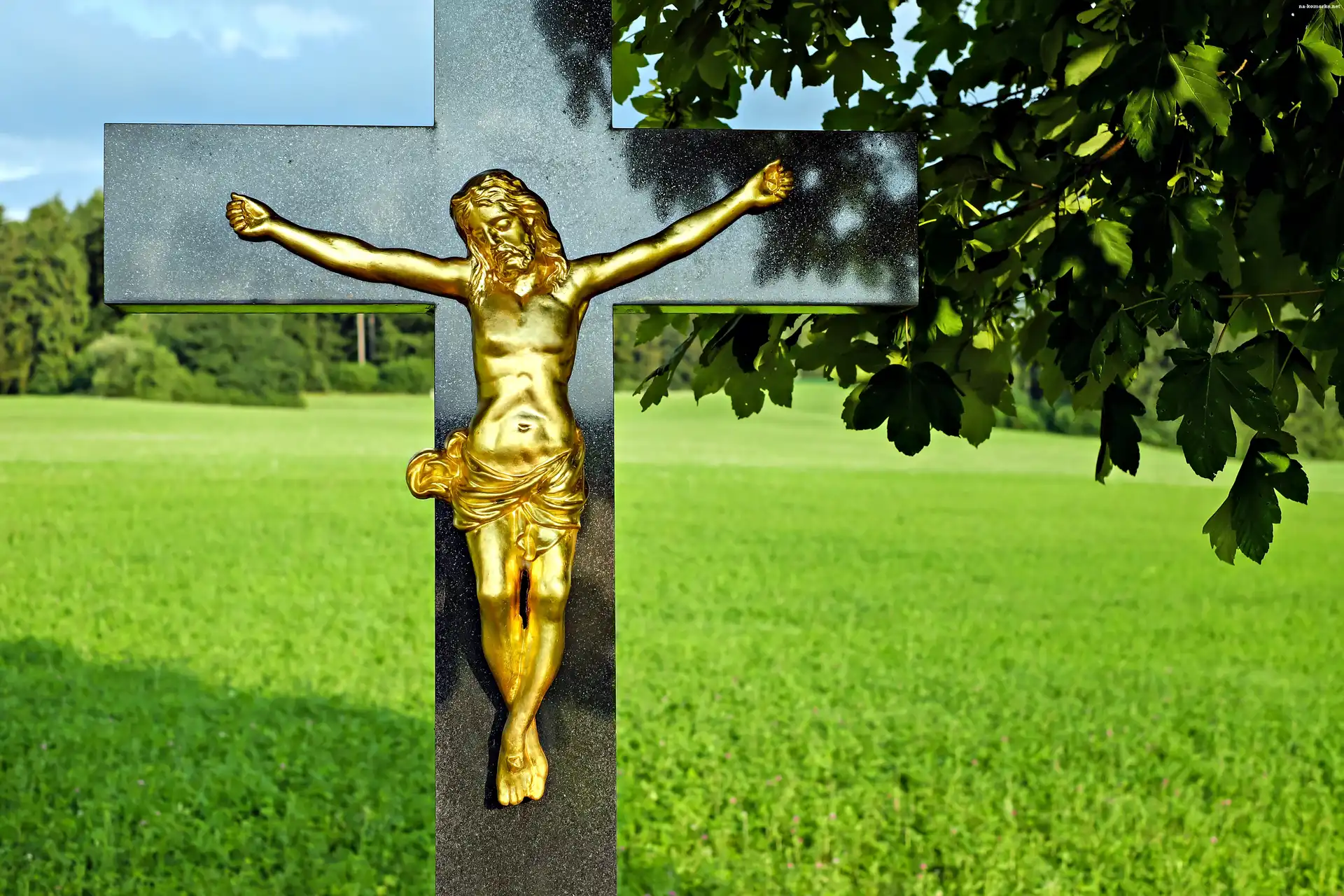 Religijne, Drzewo, Krzyż, Jezus