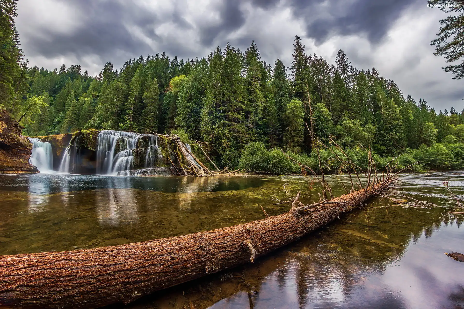 Rezerwat Gifford Pinchot, Stan Waszyngton, Wodospad Lower Lewis River Falls, Stany Zjednoczone, Rzeka Lewis River, Drzewa, Las, Chmury