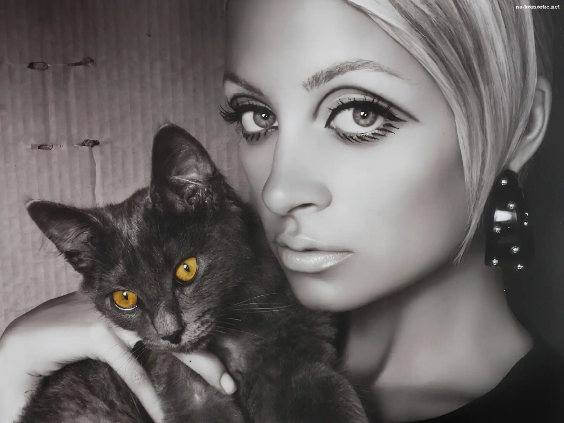 Nicole Richie, kotek
