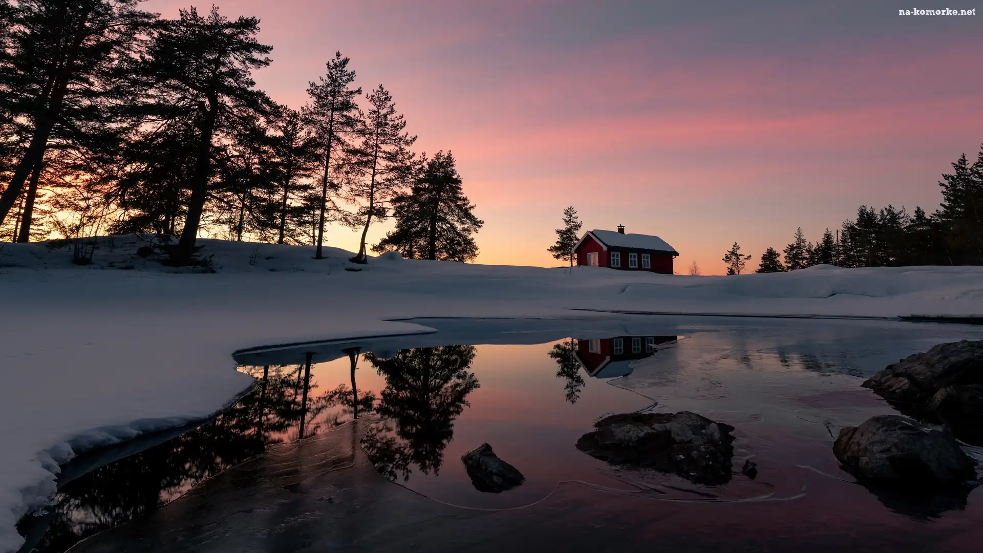 Zima, Ringerike, Norwegia, Drzewa, Jezioro Vaeleren, Dom