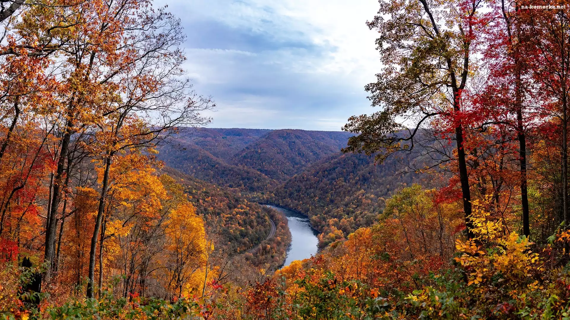 Wąwóz, Drzewa, New River Gorge Bridge, Stany Zjednoczone, Jesień, Lasy, Rzeka, Wirginia Zachodnia