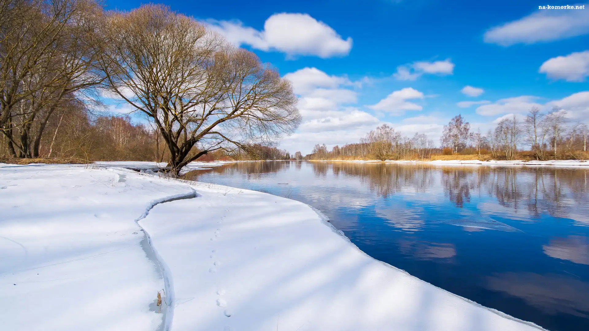 Emajogi River, Drzewa, Zima, Estonia, Rzeka, Prowincja Tartu