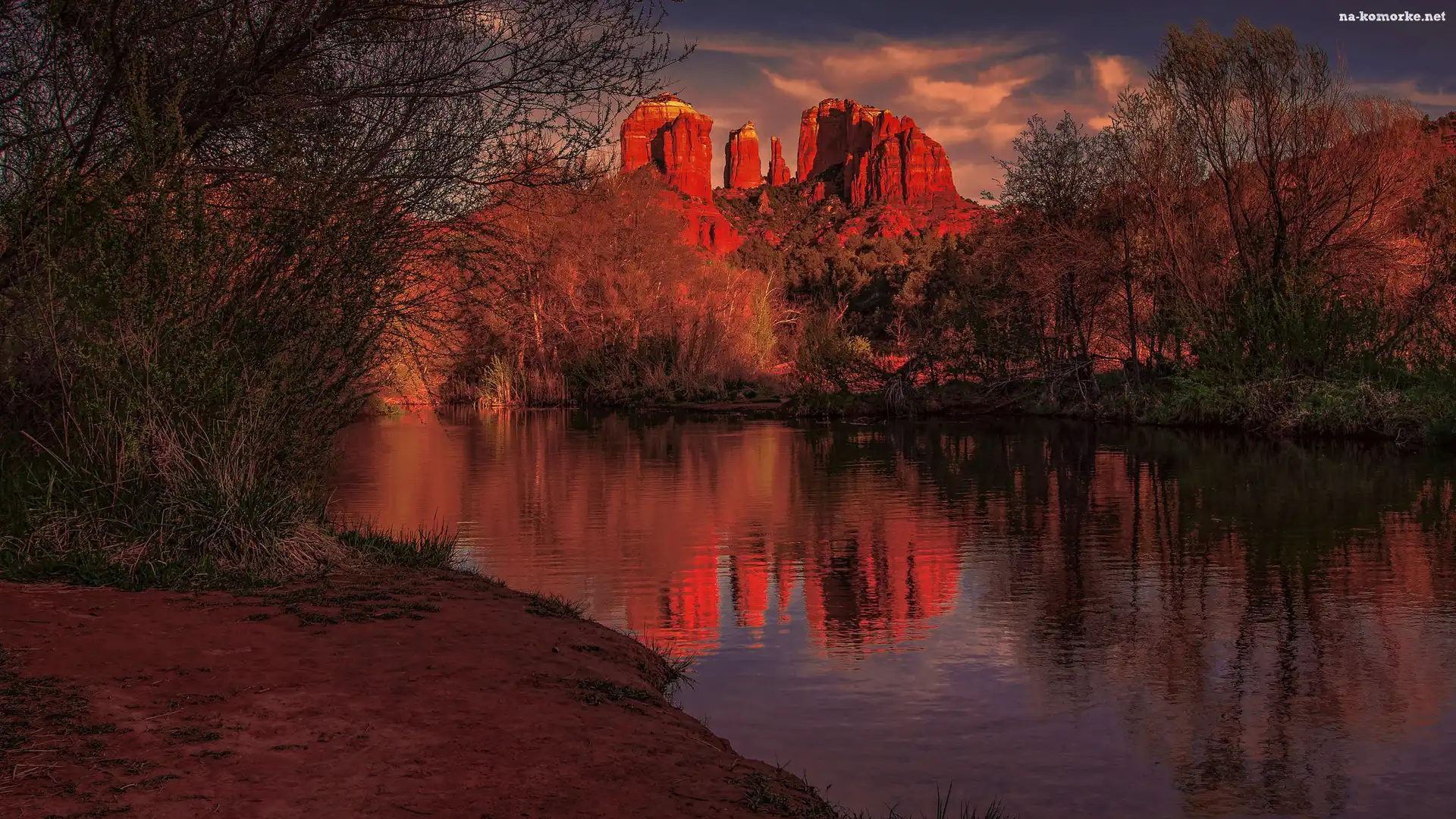 Arizona, Sedona, Czerwone, Odbicie, Skały, Góry, Rzeka, Drzewa, Cathedral Rock, Stany Zjednoczone