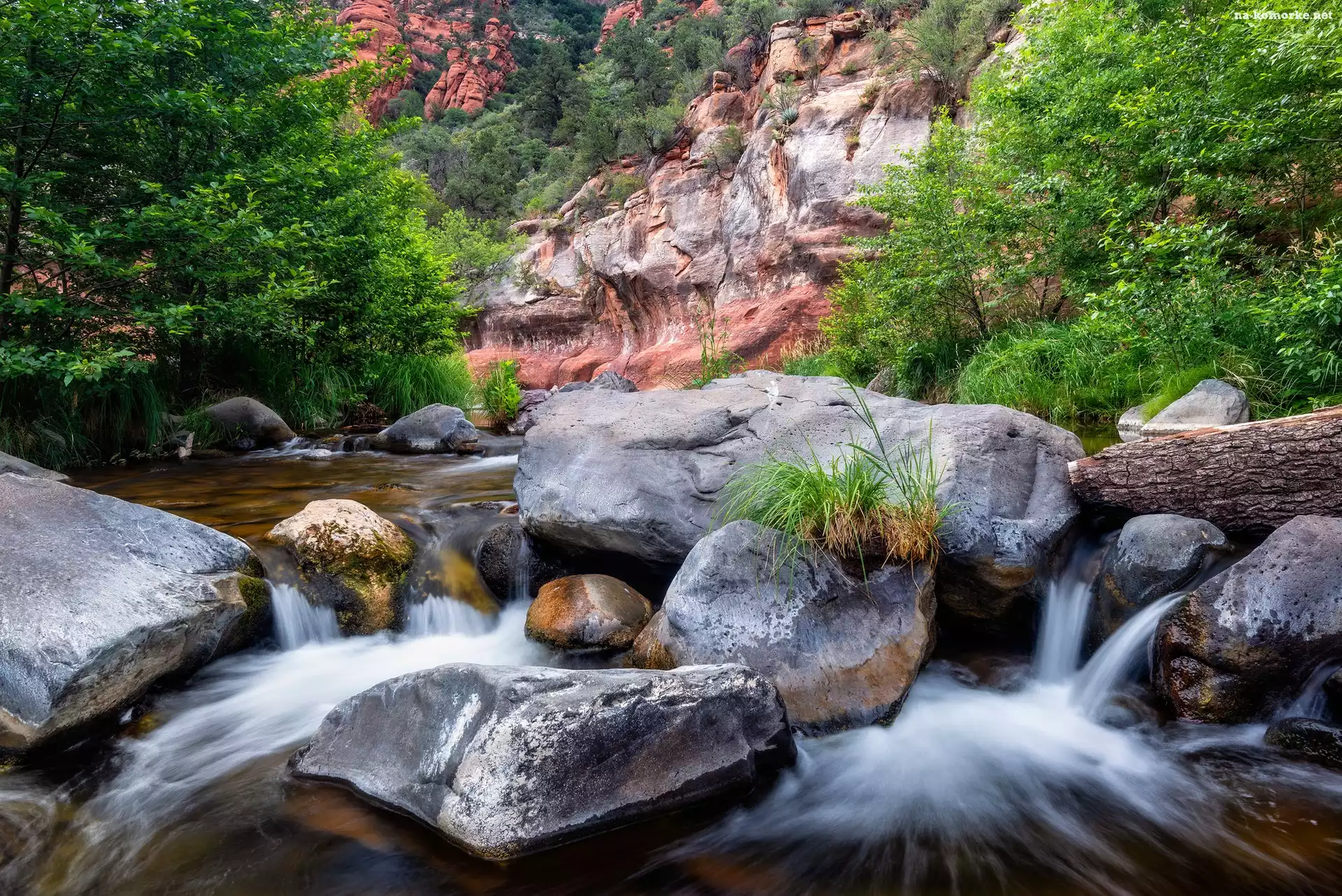Arizona, Sedona, Cathedral Rock, Kamienie, Drzewa, Skały, Oak Creek, Głazy, Rzeka, Stany Zjednoczone
