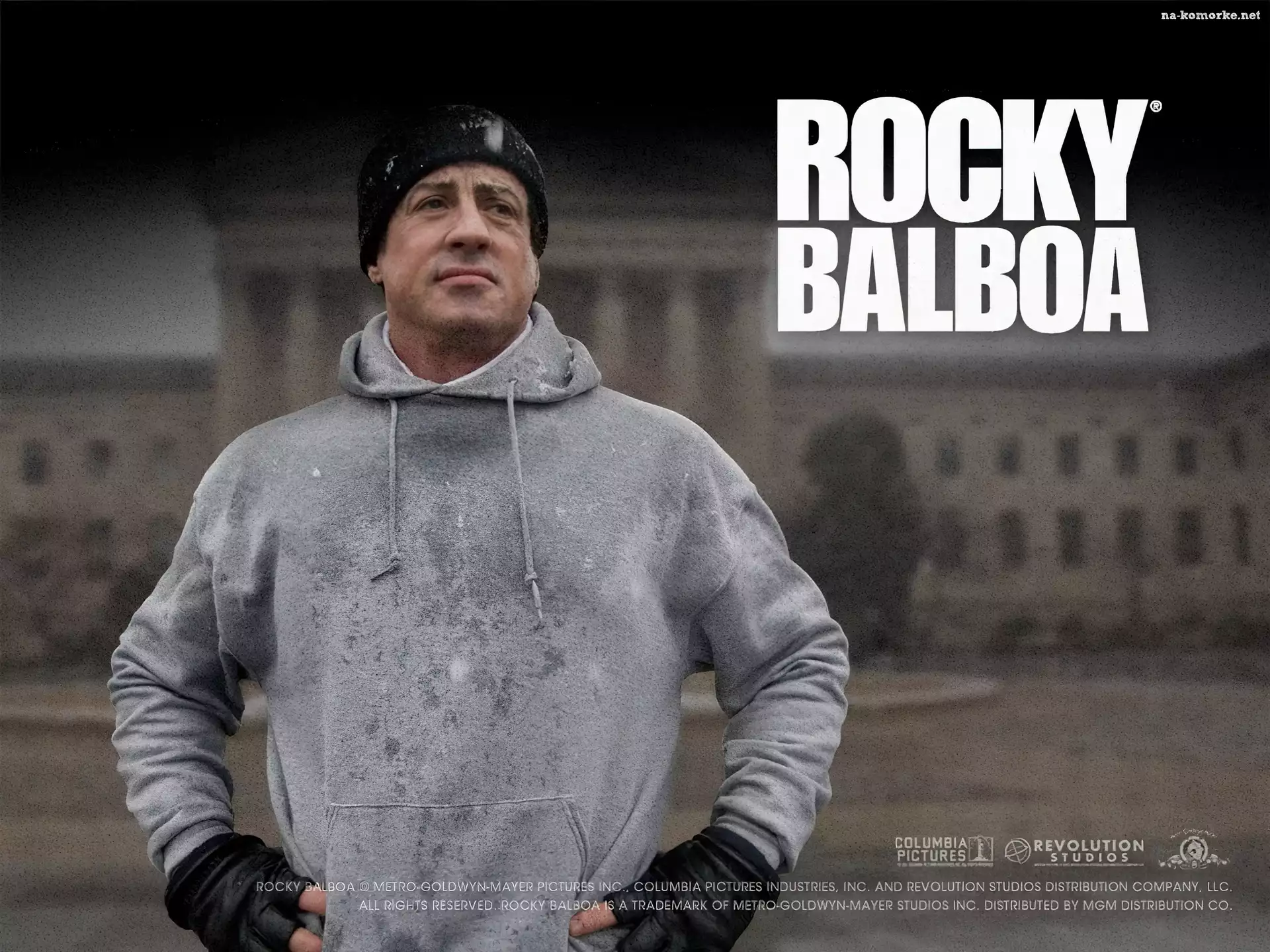 Rocky Balboa, bluza, Sylvester Stallone, trening, zima