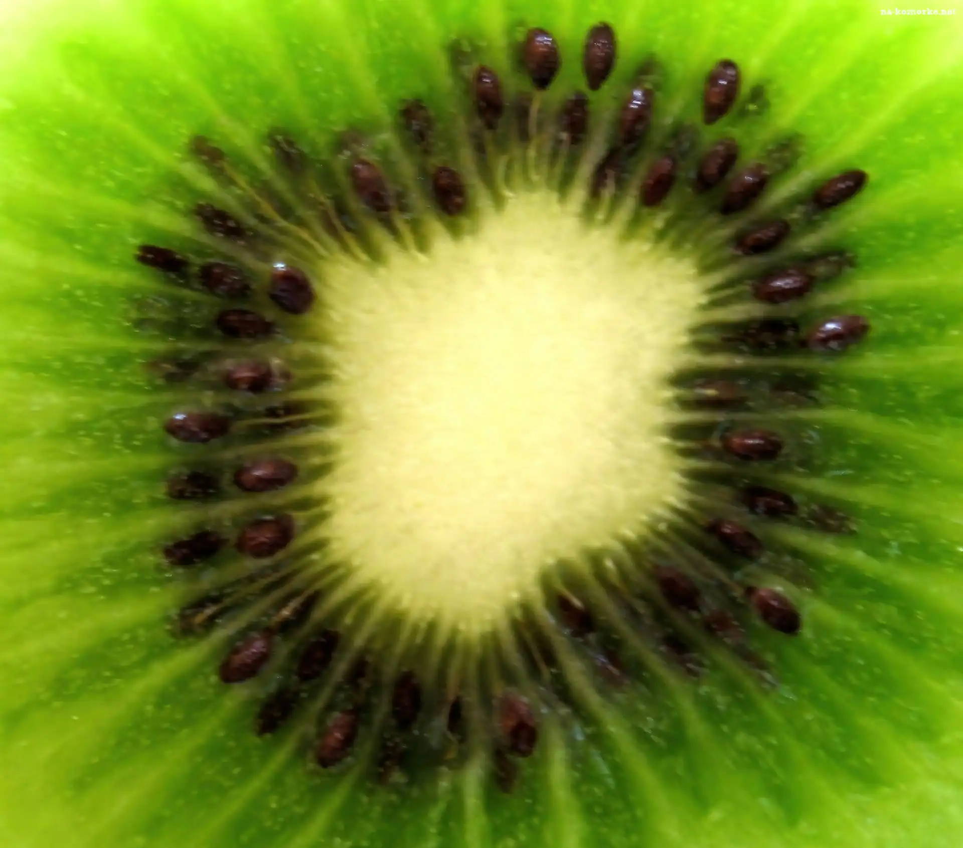 Åšrodek, Kiwi