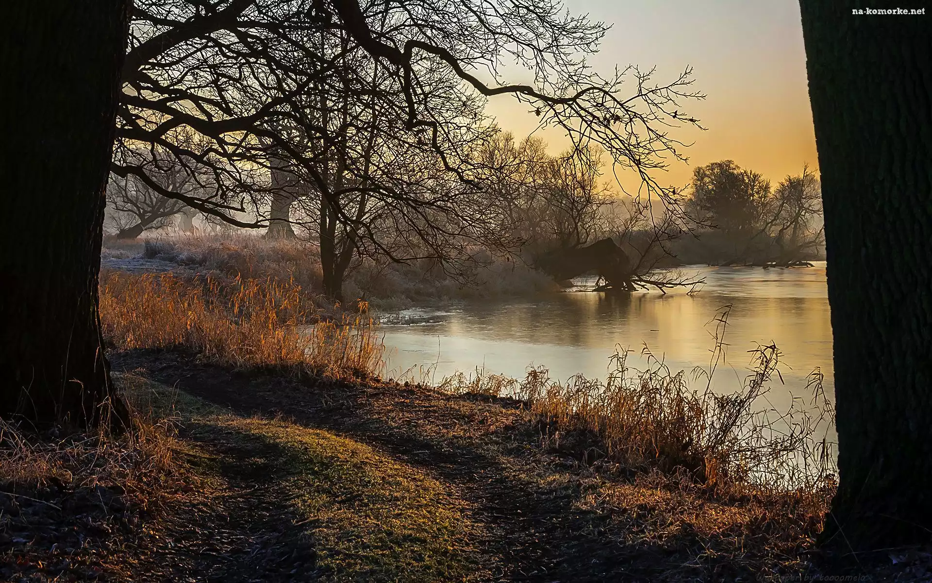 Rogaliński Park Krajobrazowy, Wschód słońca