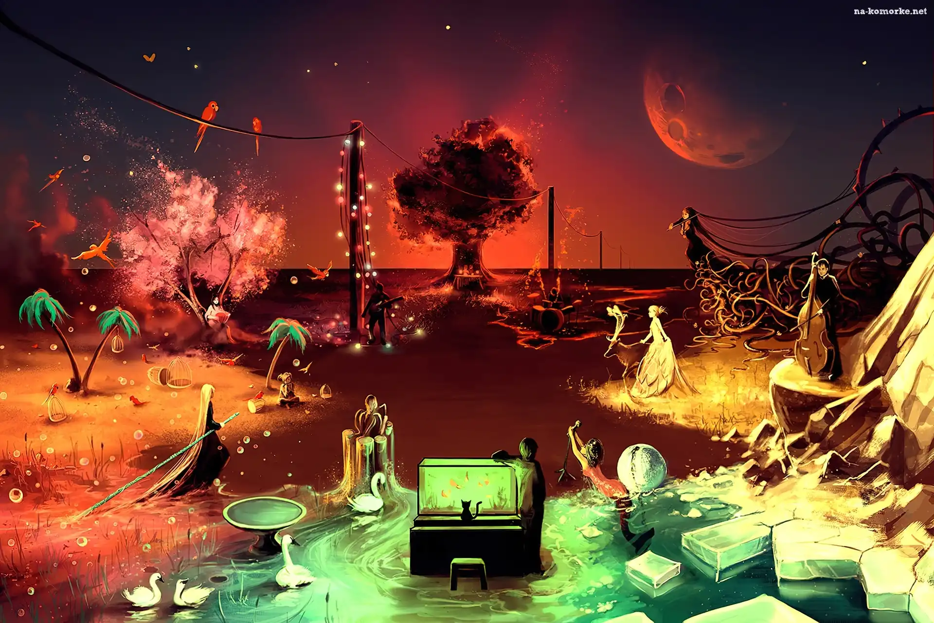 Cyril Rolando, Wyobraźnia