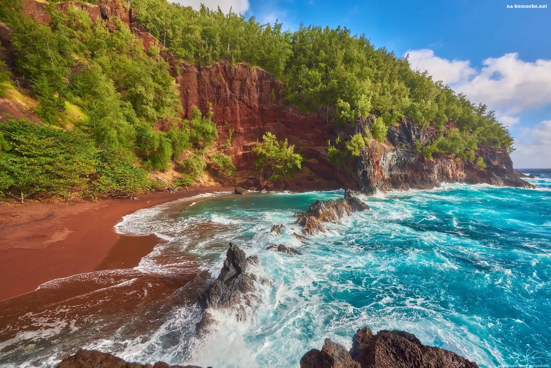 Roślinność, Hawaje, Wyspa Maui, Morze, Skały