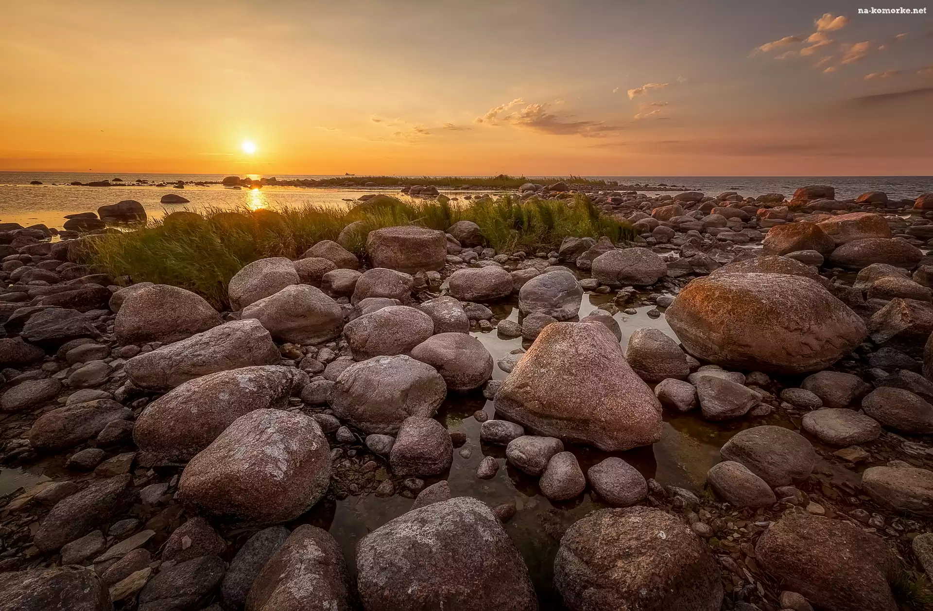 Rośliny, Zachód słońca, Morze, Brzeg, Kamienie