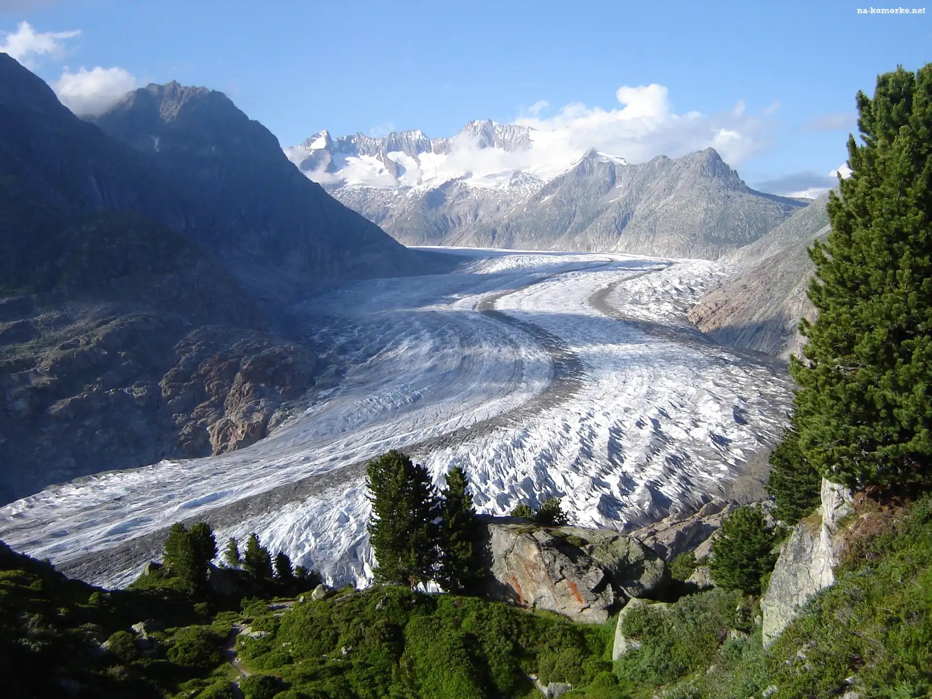 Rośliny, Alpy, Berneńskie, Lodowiec, Aletschgletscher
