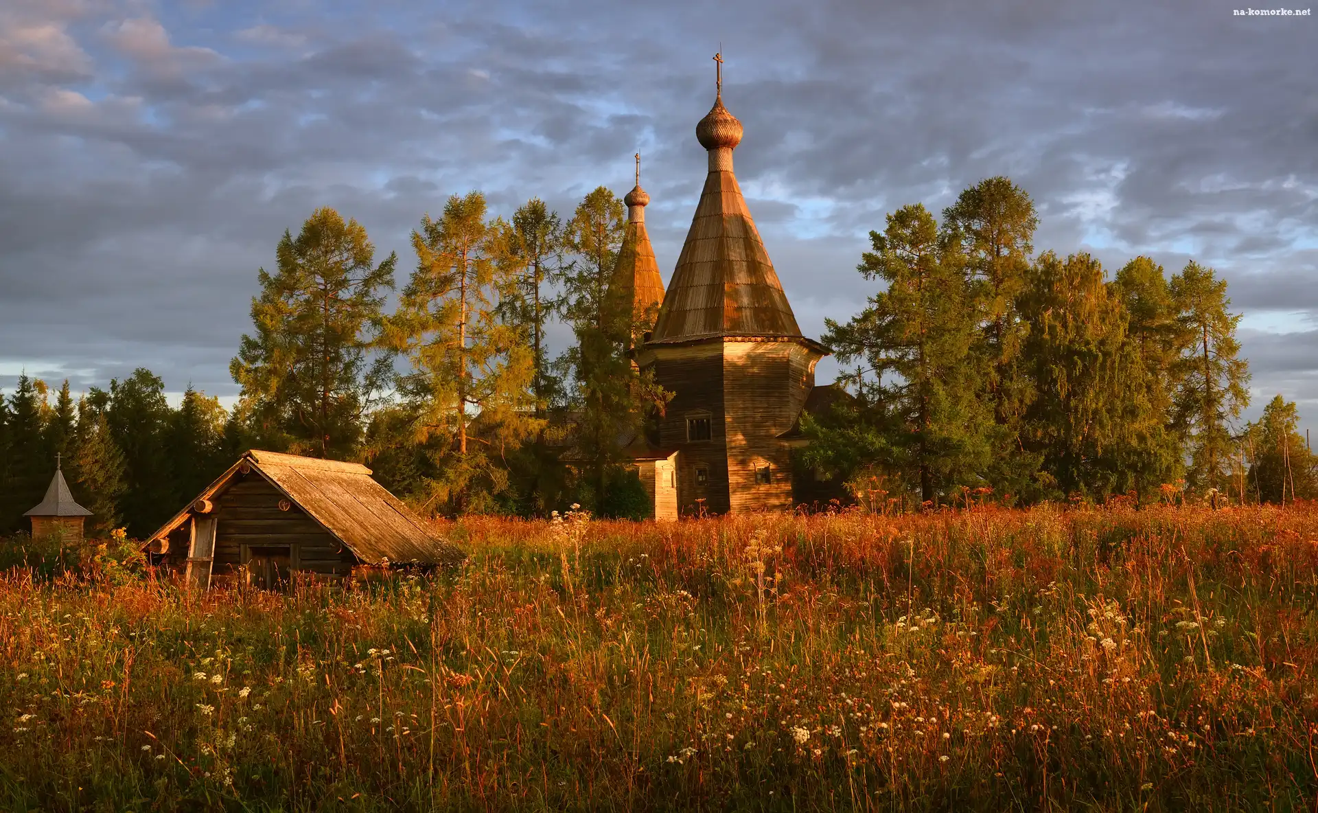 Rosja, Rośliny, Jesień, Obwód archangielski, Cerkiew, Drzewa, Trawy