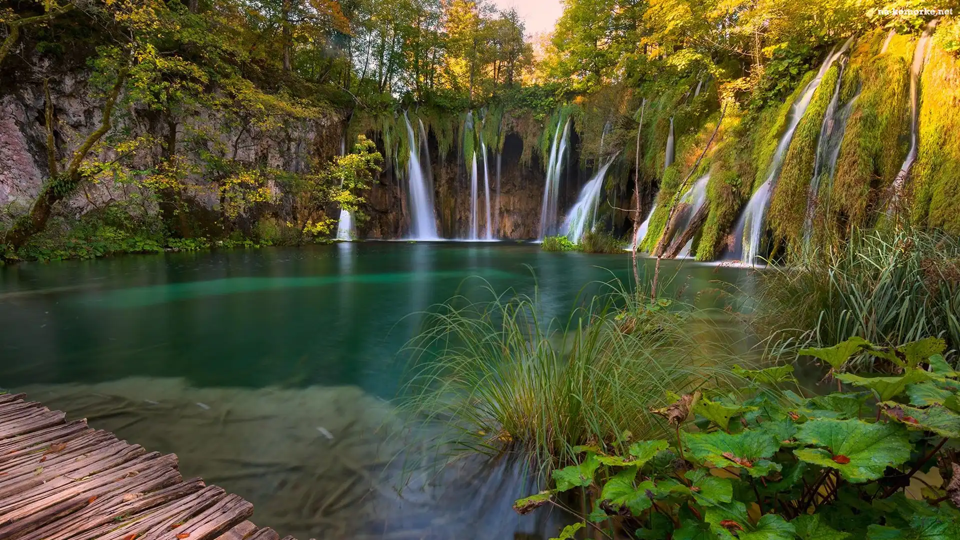 Drzewa, Jezioro, Wodospad, Chorwacja, Park Narodowy Jezior Plitwickich, Rośliny