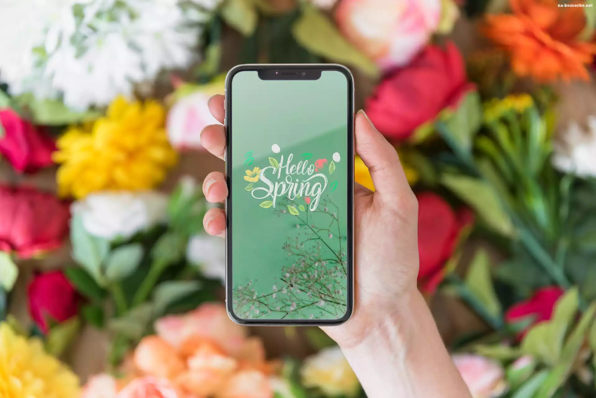 Napis, Rozmyte, Tło, Hello Spring, Telefon, Dłoń, Kwiaty