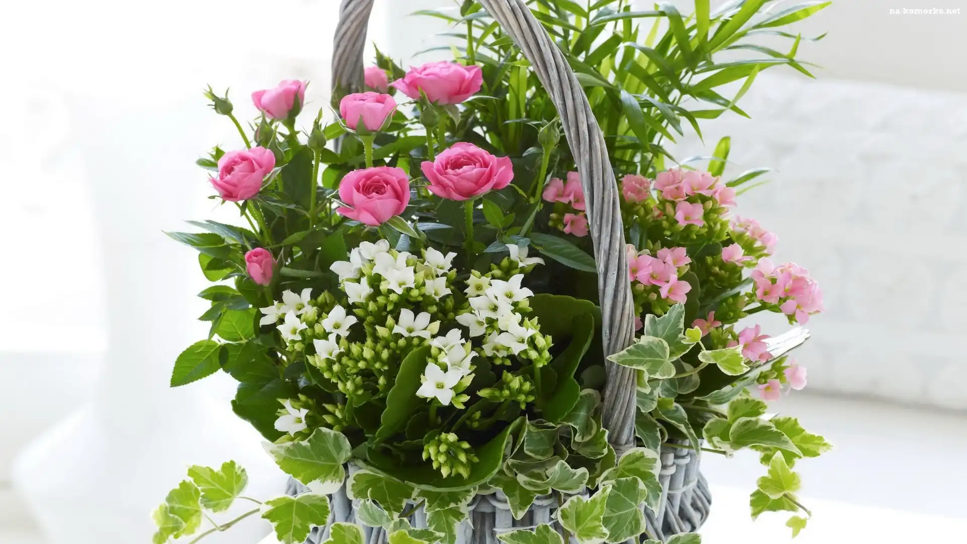 Różowe, Kwiatów, Kosz, Bluszcz, Kalanchoe, Róże