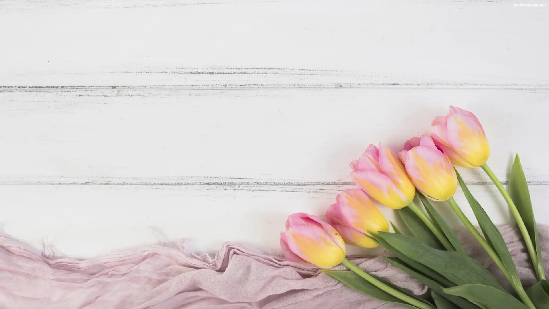 Różowo-żółte, Tulipany, Materiał