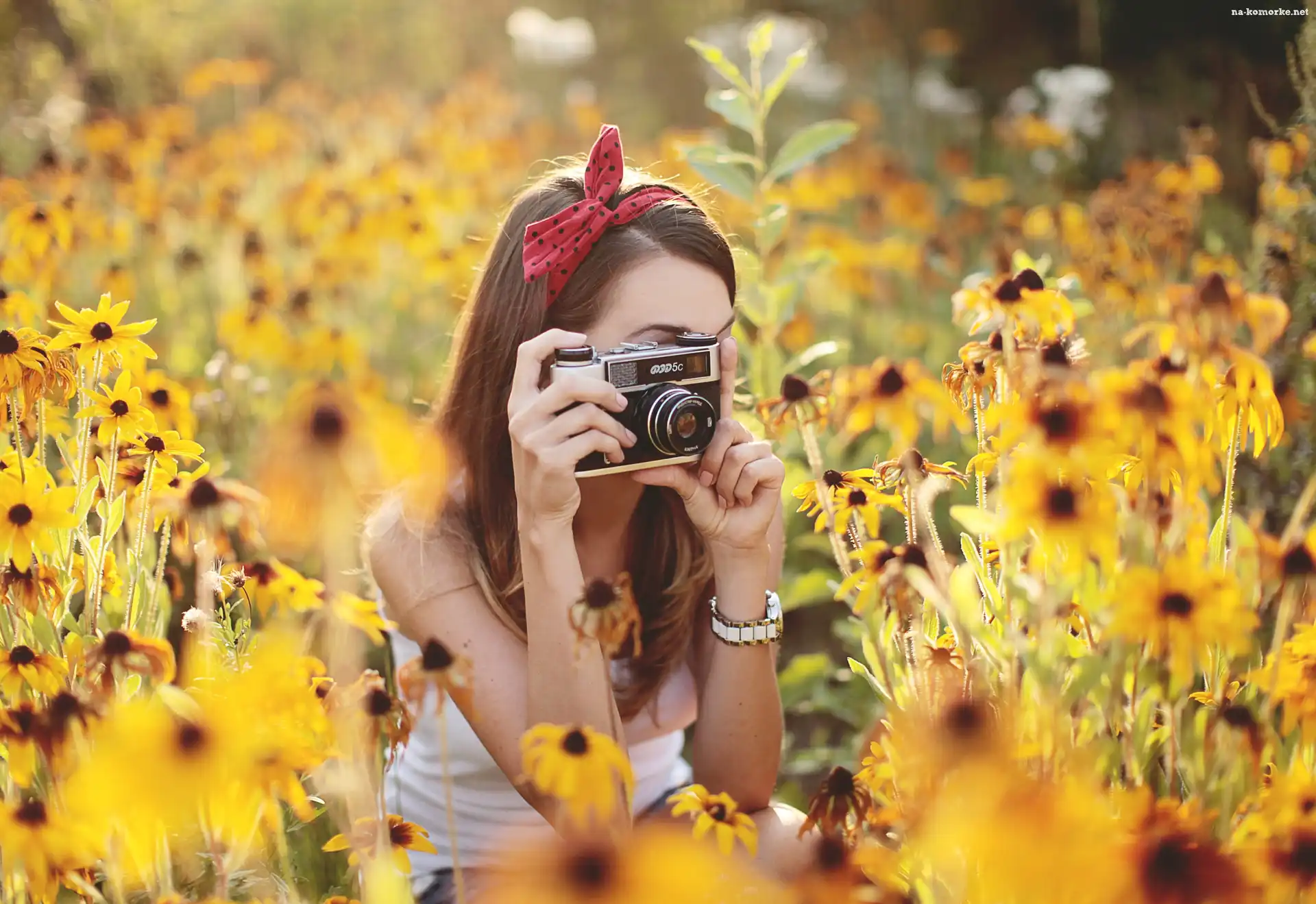 Rudbekie, Aparat, Dziewczyna, Tło, Fotograficzny, Rozmyte