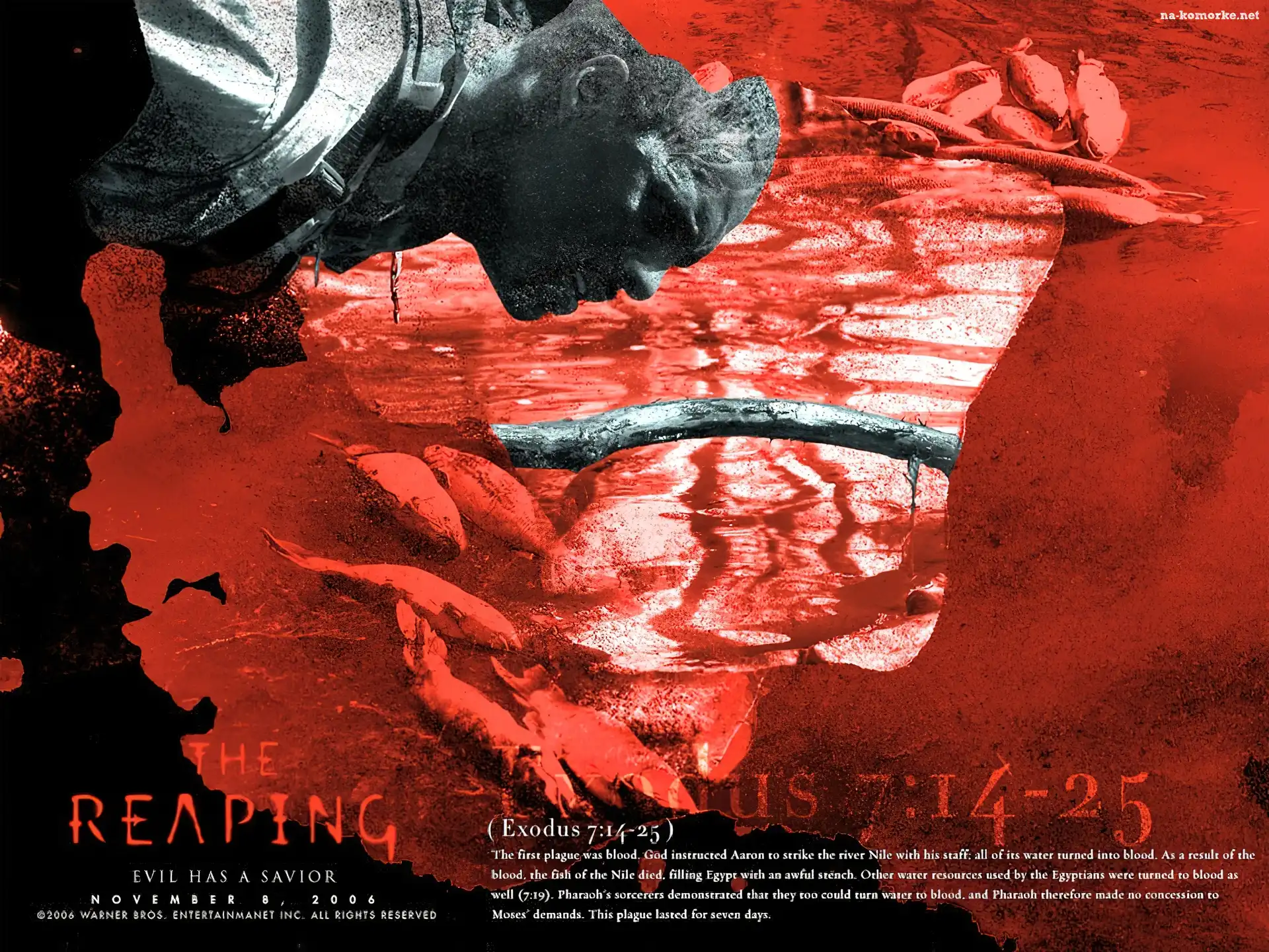 ryby, Reaping, mężczyzna, czerwona, woda