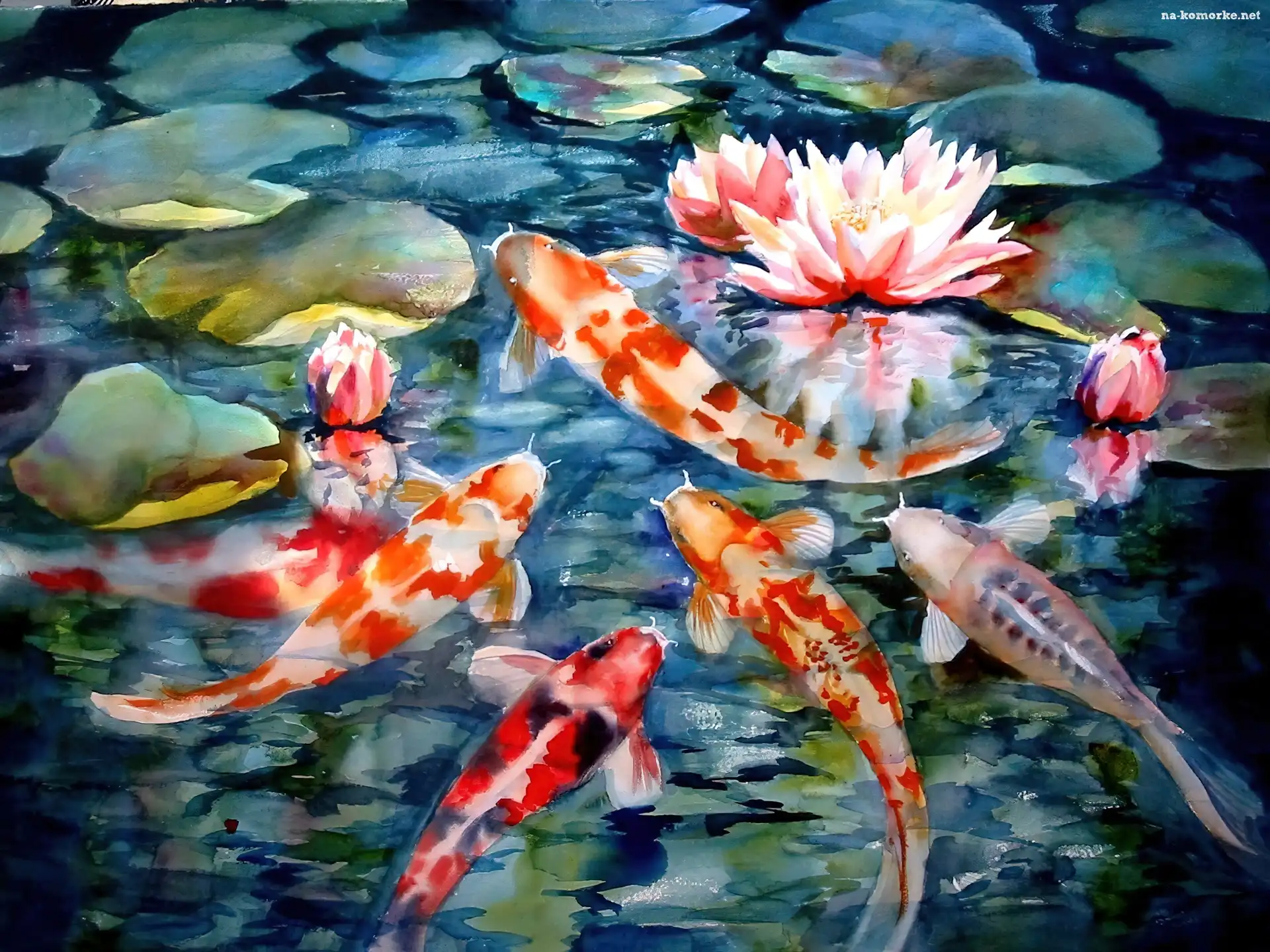 Wodne, Ryby, Karp Koi, Staw, Lilie