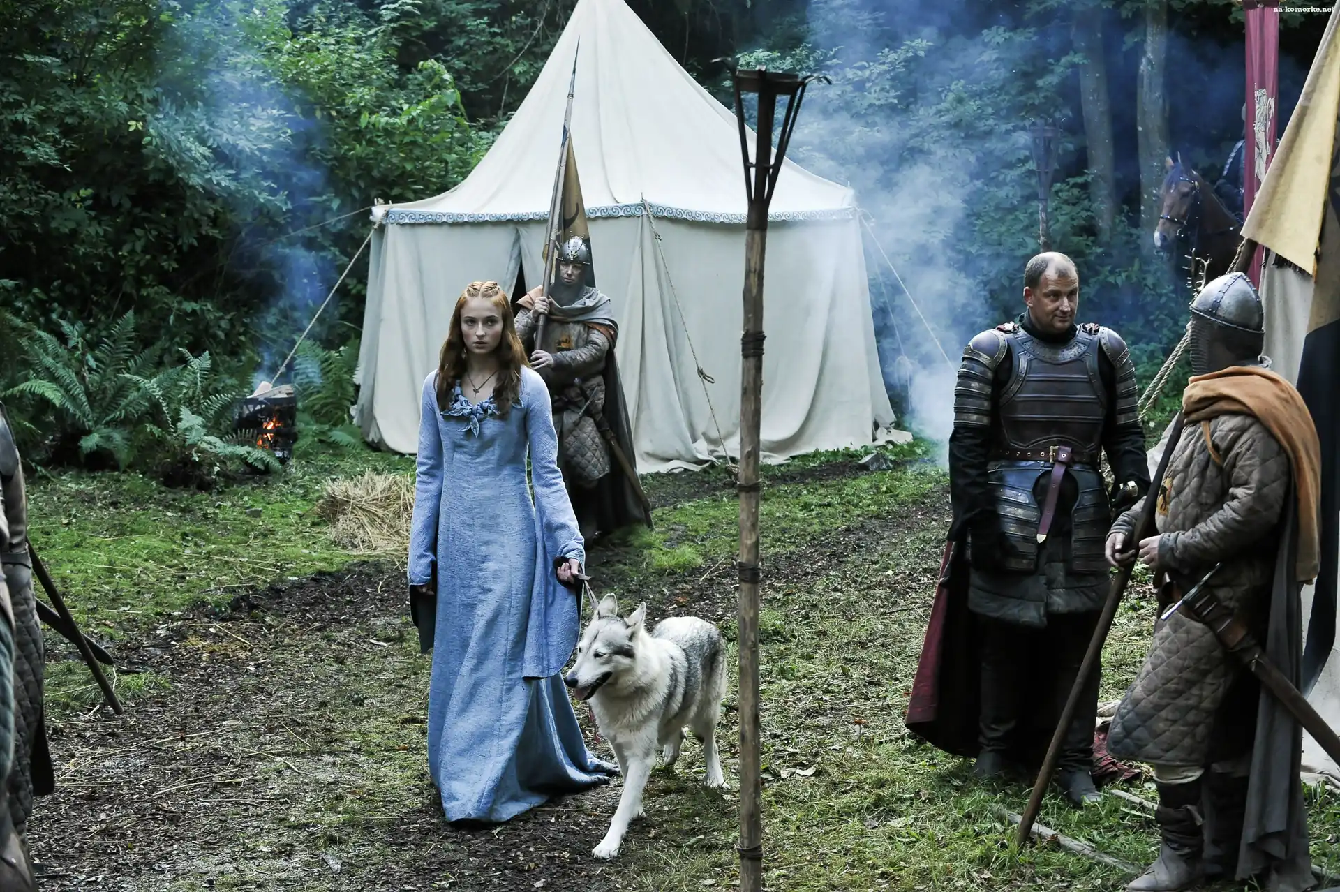Gra o tron, Pies, Aktorka, Game of Thrones, Sansa Stark, Sophie Turner, Rycerze