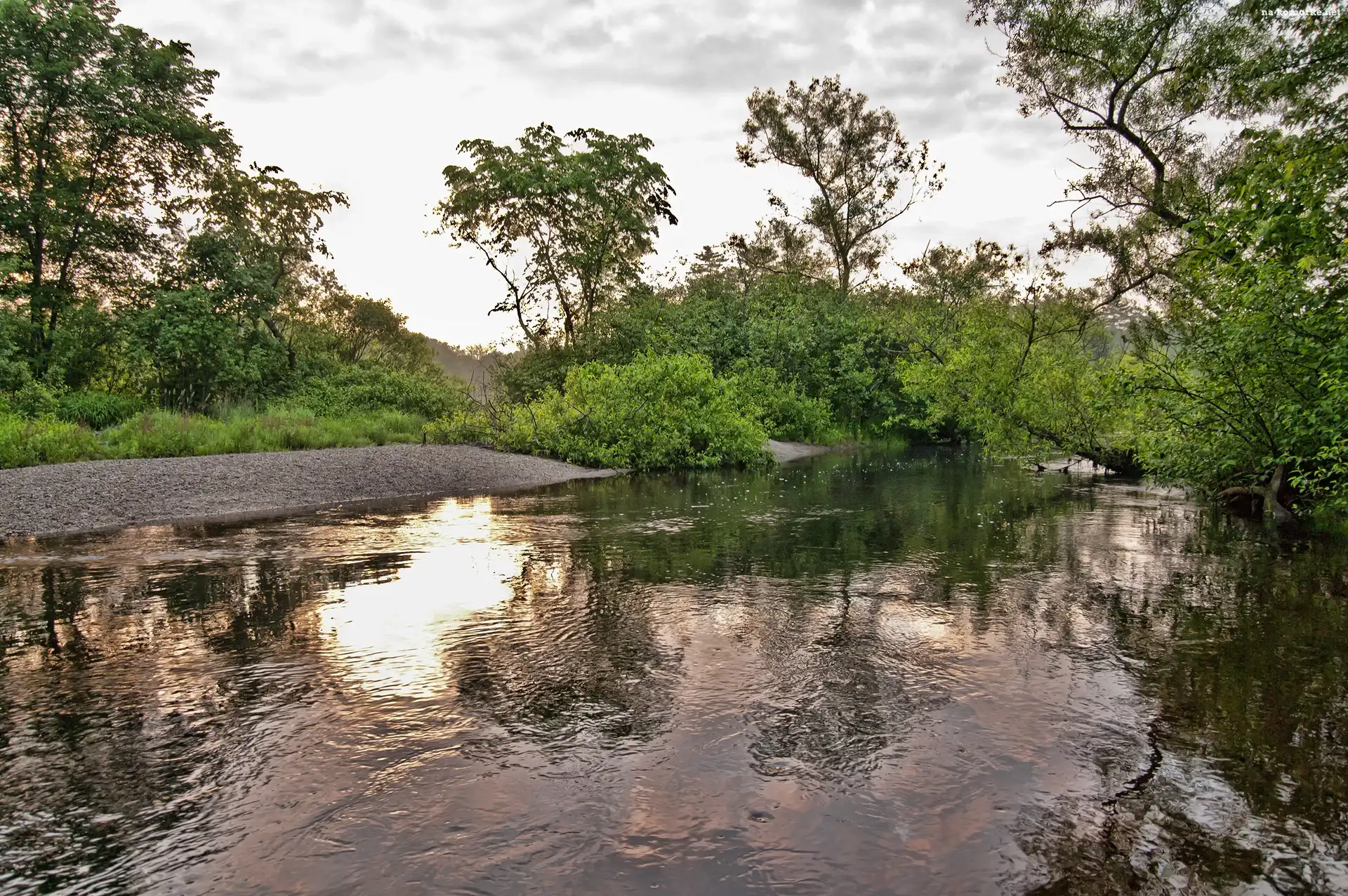 Rzeka, Drzewa