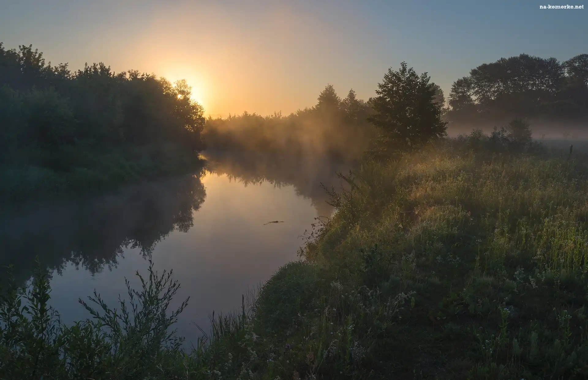 Rzeka, Wschód słońca, Drzewa, Mgła