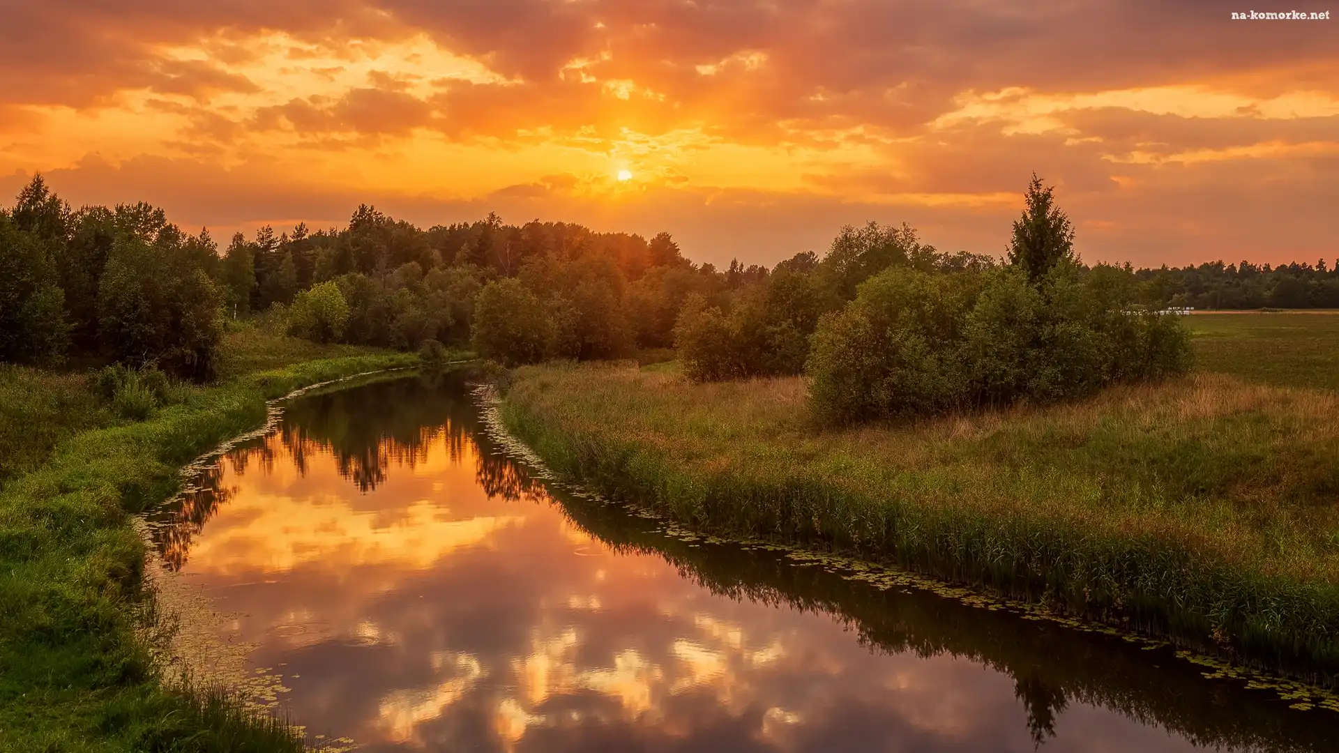 Rzeka, Zachód słońca, Drzewa, Krzewy