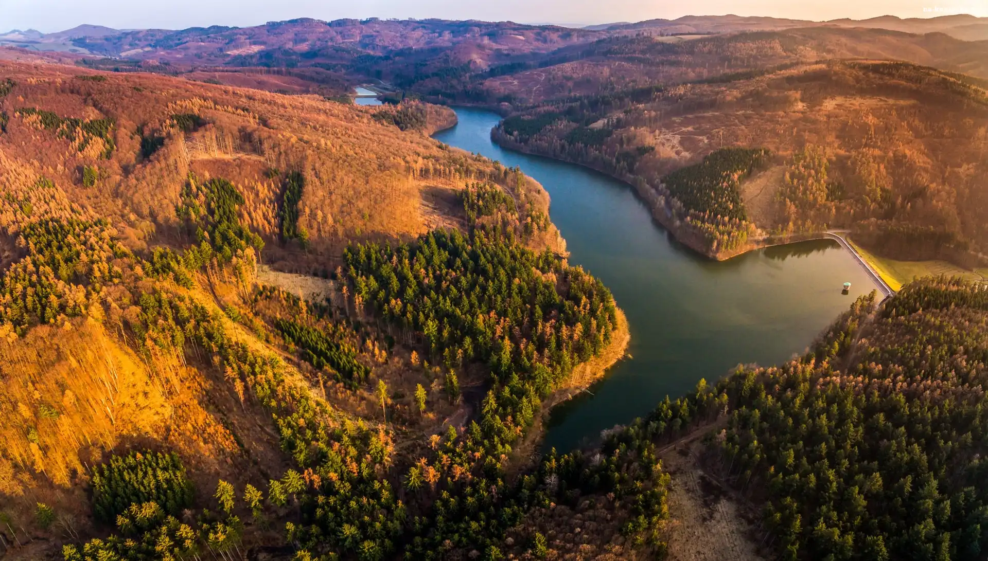 Rzeka, Czechy, Góry, Las