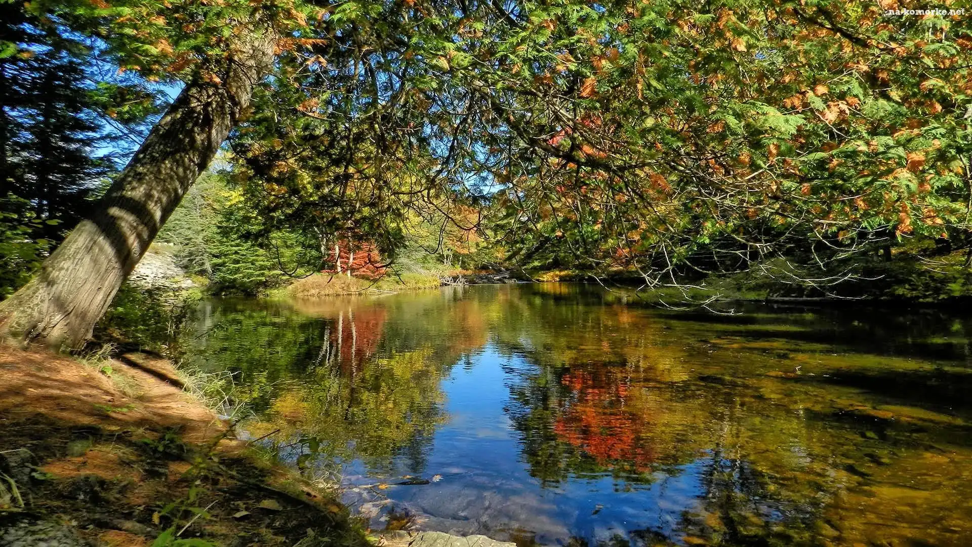 Jesień, Rzeka, Drzwa
