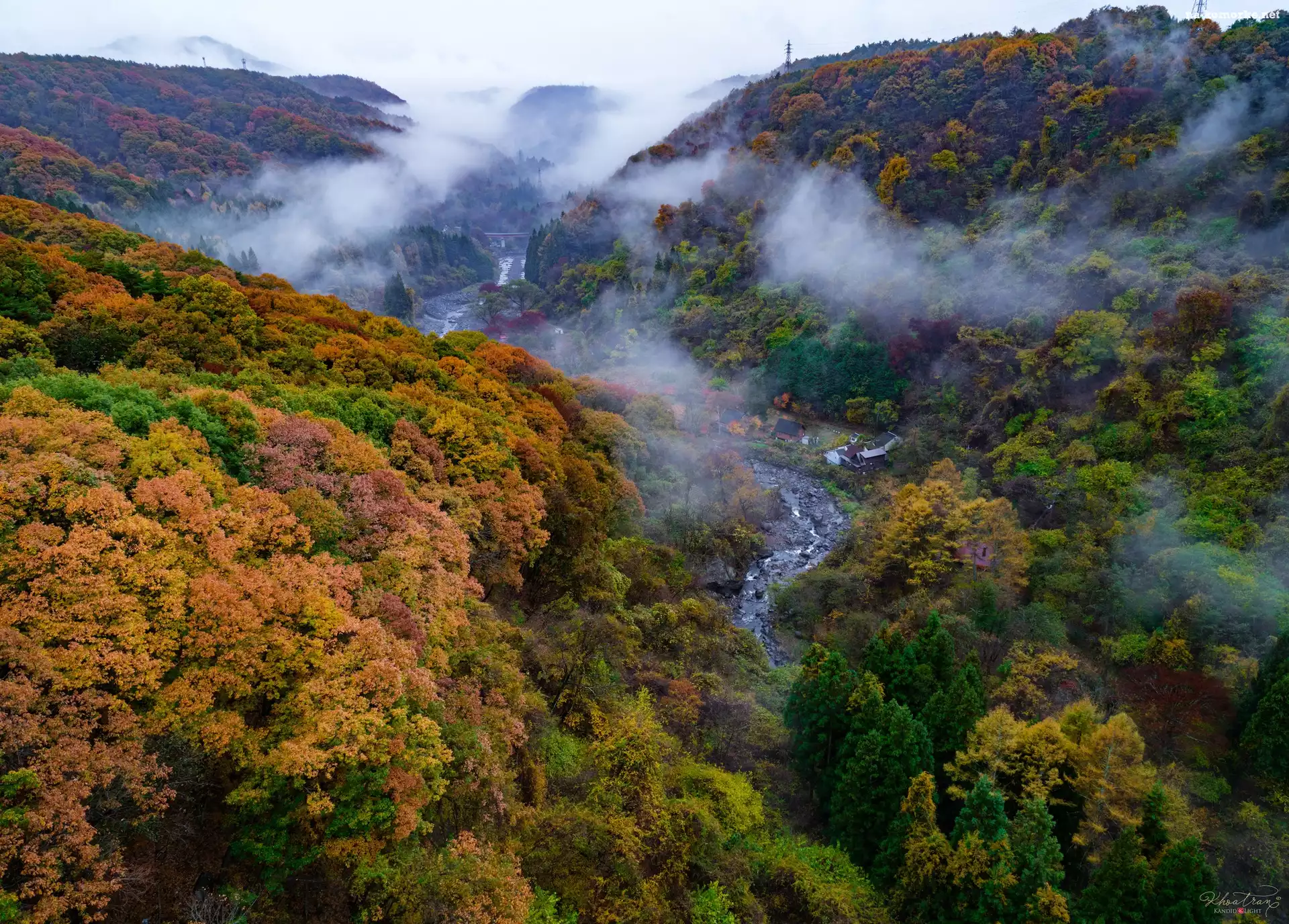 Rzeka, Drzewa, Japonia, Kolorowe, Las, Góry, Jesień, Mgła, Nikko