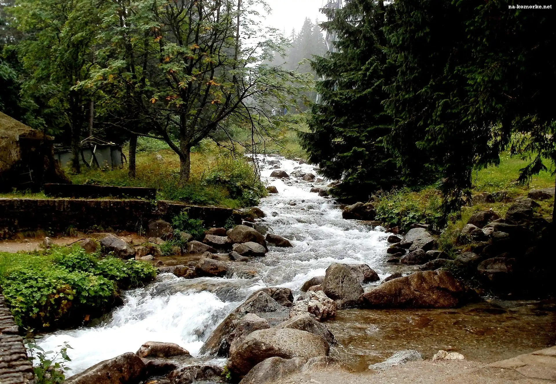 Las, Kamienie, Rzeka