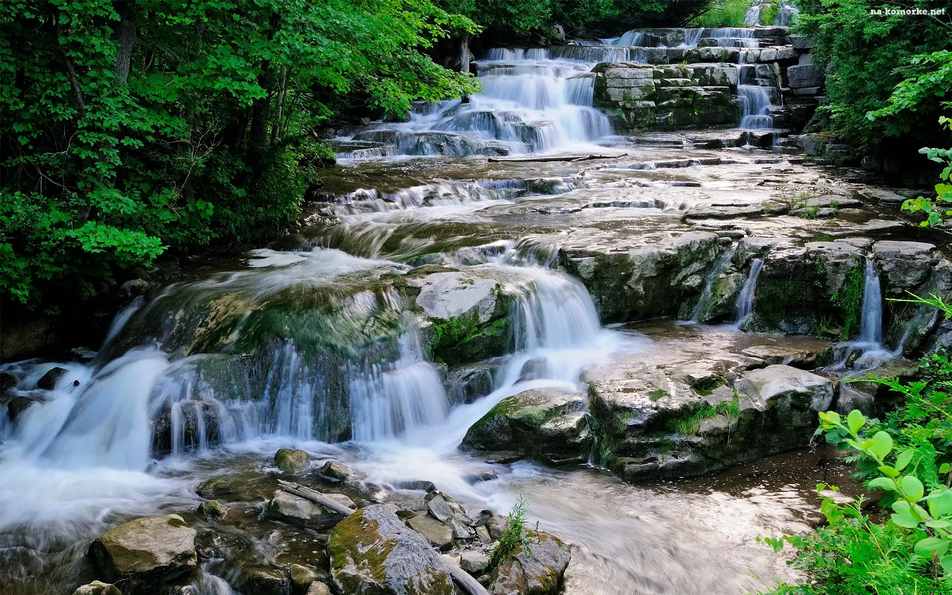Las, Rzeka, Kaskada