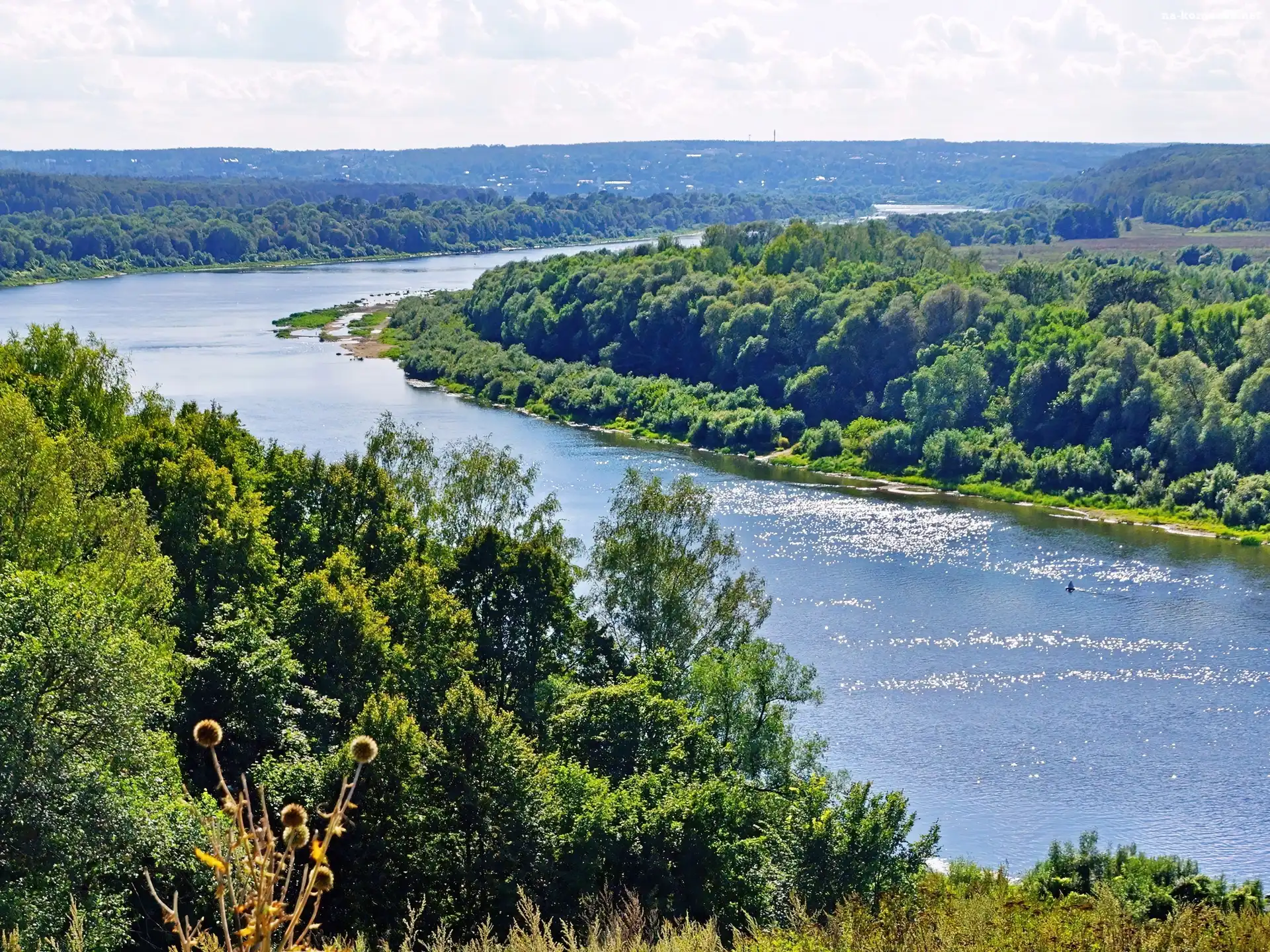 Las, Oka, Rzeka