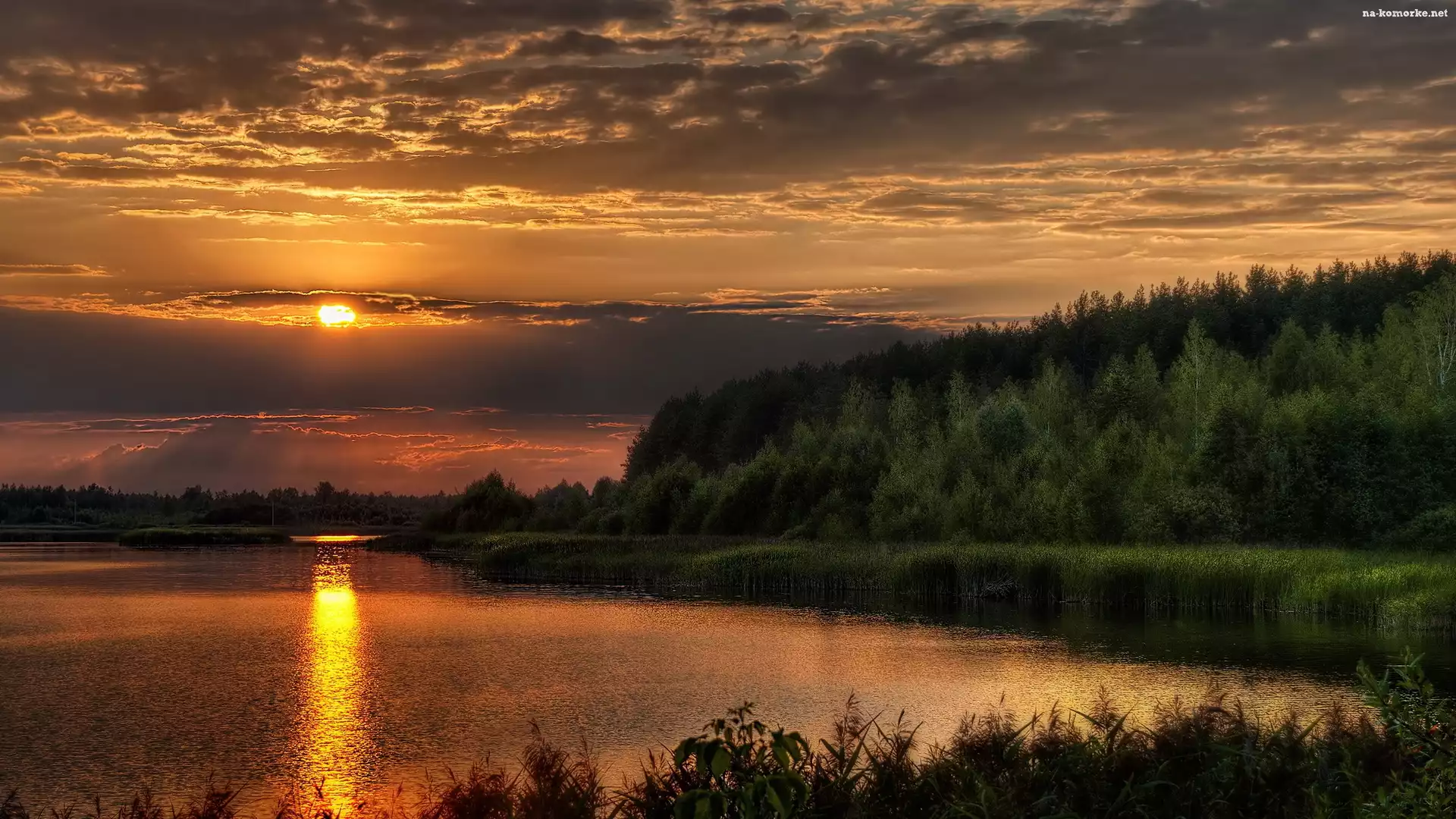 Rzeka, Słońca, Las, Zachód