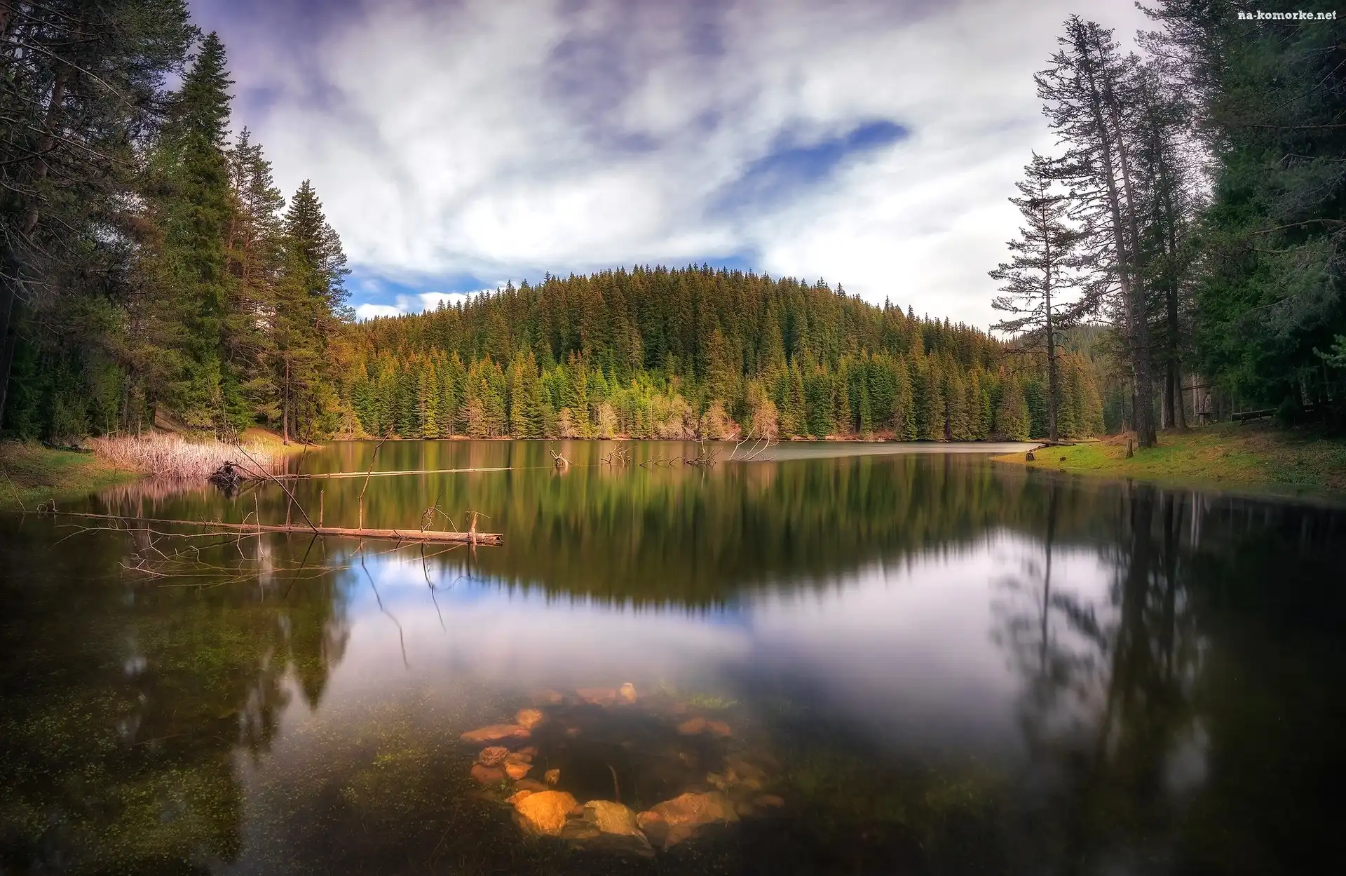 Rzeka, Wzgórze, Lasy, Drzewa