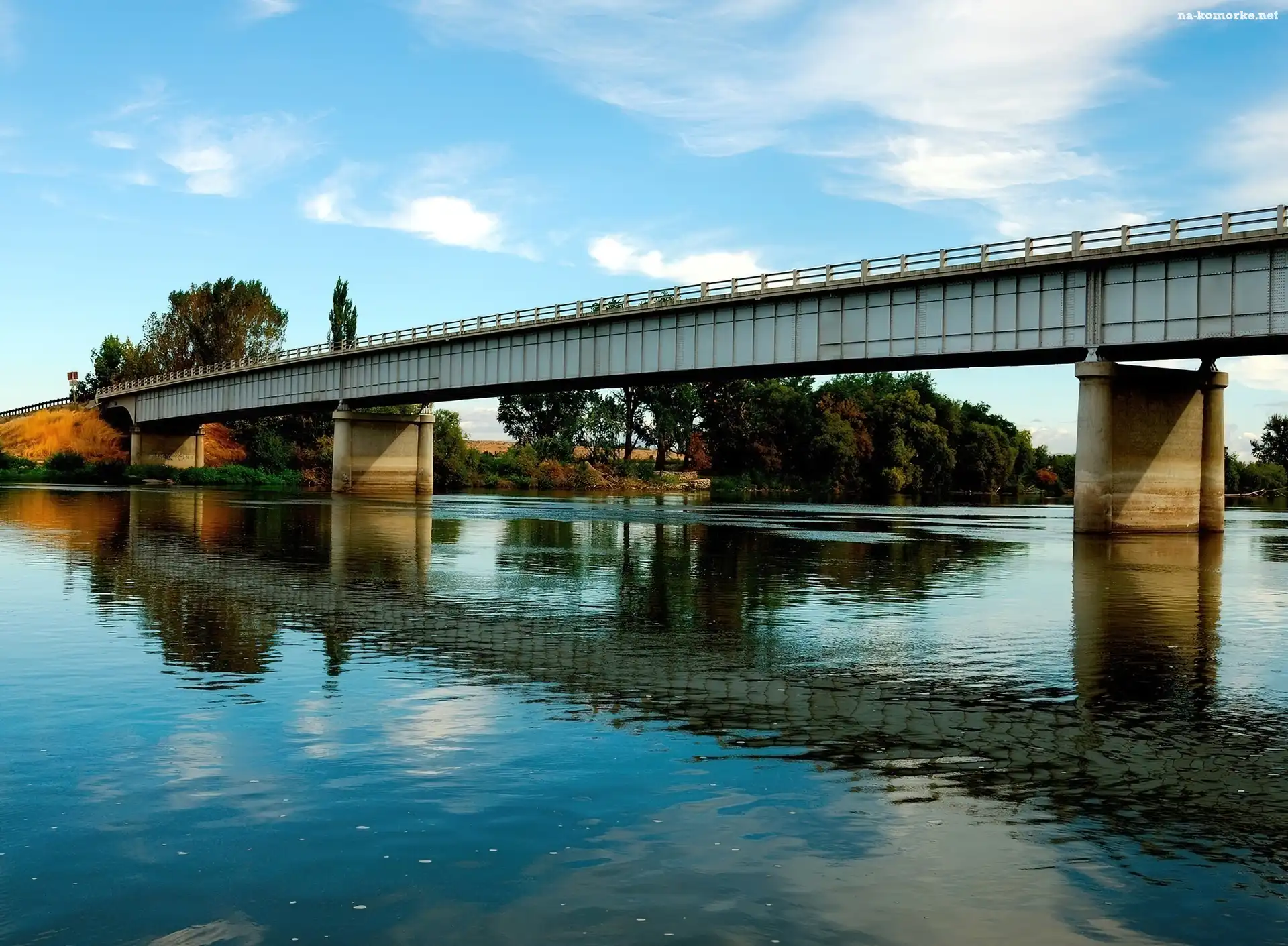 Rzeka, Most