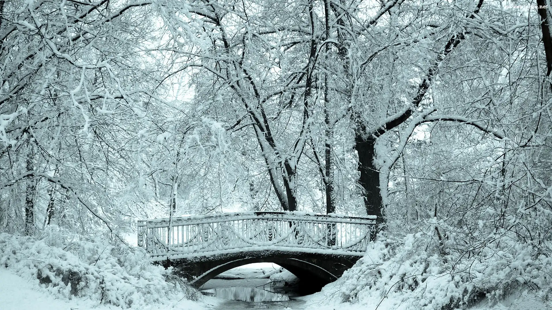 Rzeka, Zima, Mostek, Park
