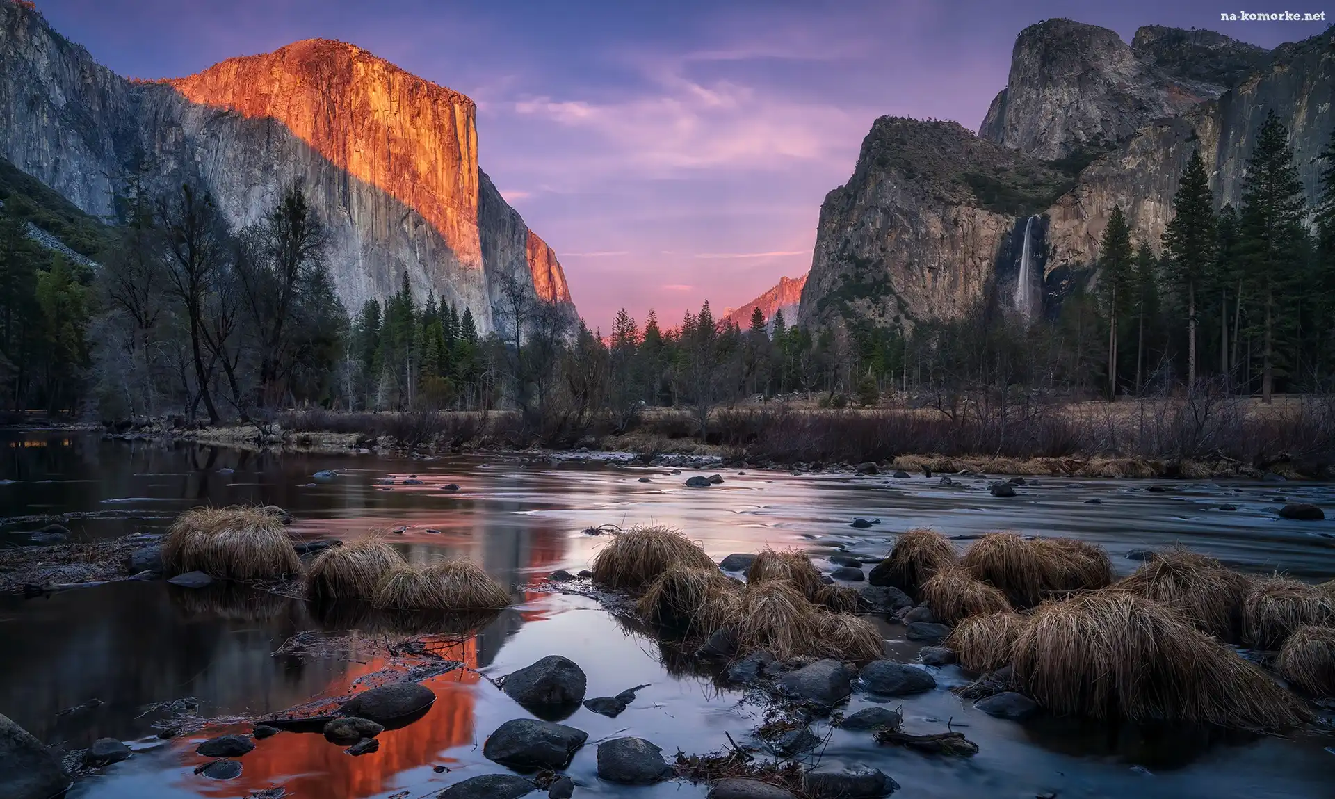 Drzewa, Stany Zjednoczone, Rzeka Merced, Góry Sierra Nevada, Park Narodowy Yosemite, Stan Kalifornia