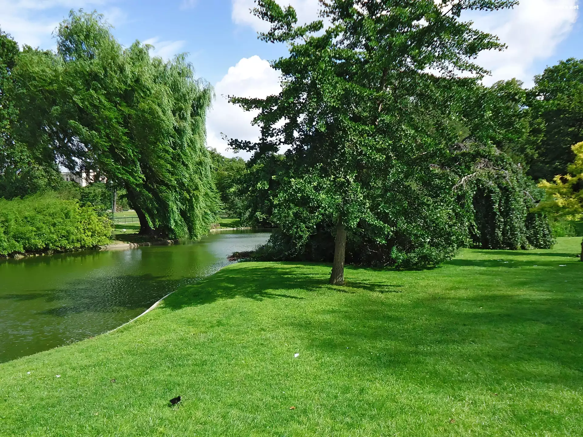 Park, Rzeka, Zieleń