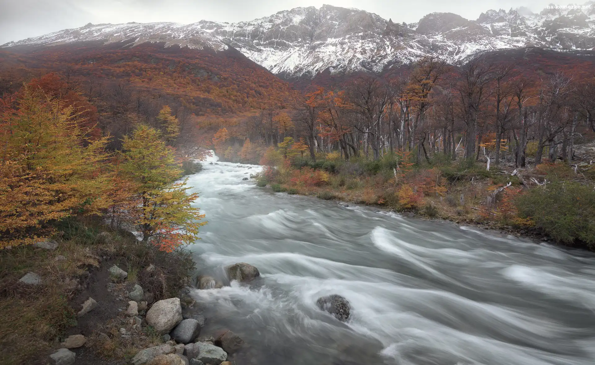 Rzeka Las Vueltas, Patagonia, Argentyna, Góry Andy, Las, Drzewa, Park Narodowy Los Glaciares