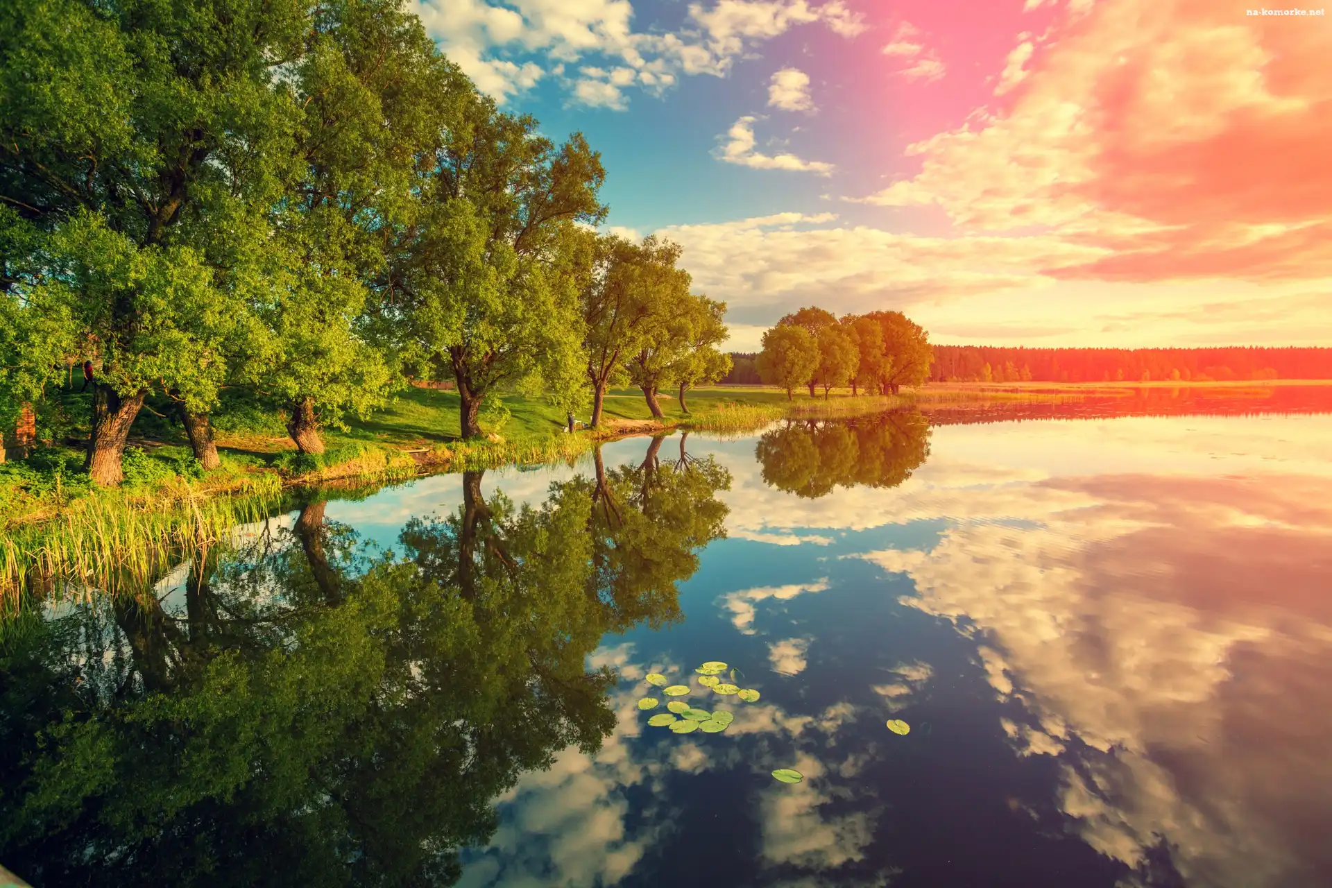 Rzeka, Odbicie, Wschód słońca, Drzewa