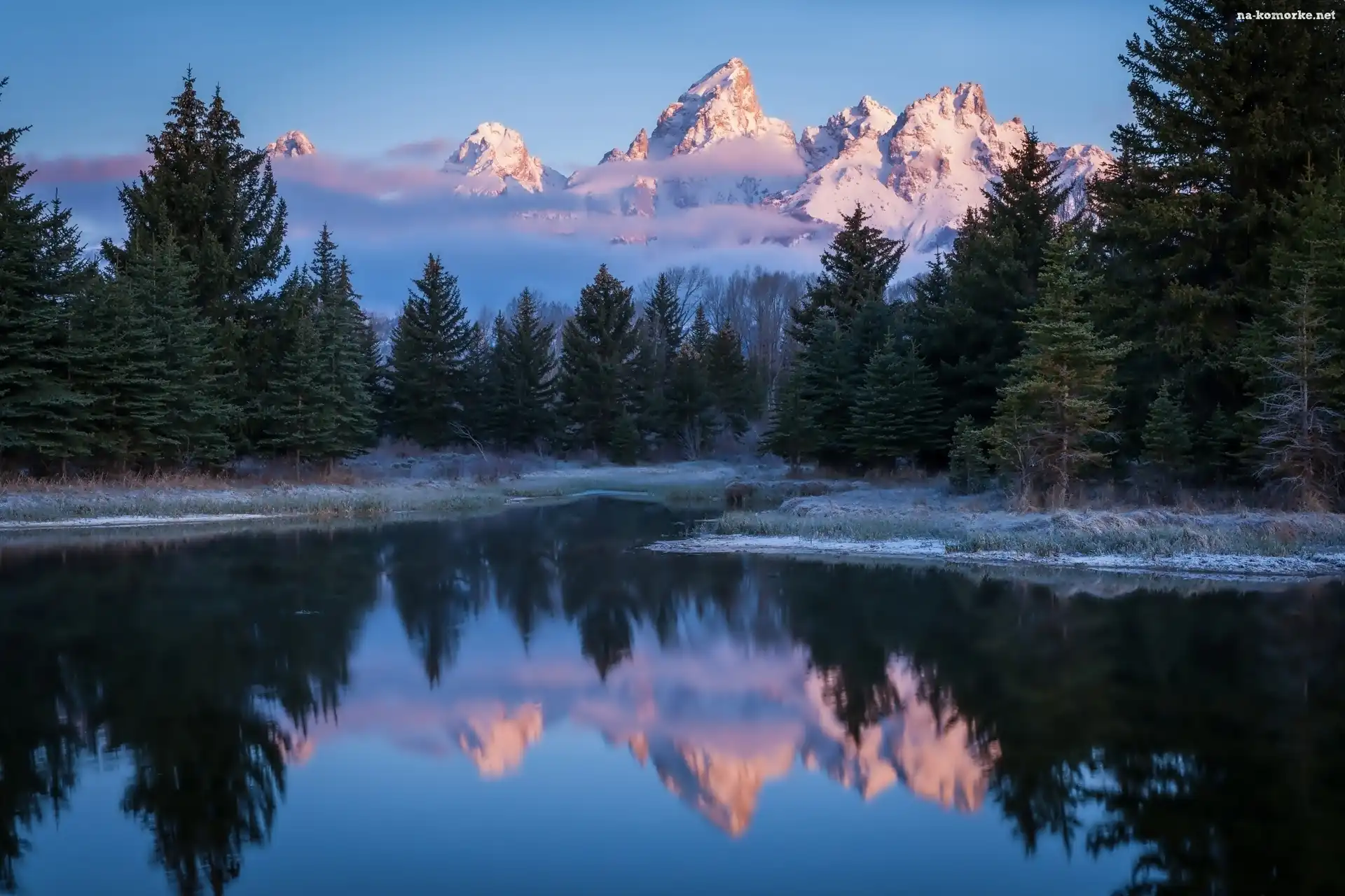 Rzeka Snake River, Stan Wyoming, Stany Zjednoczone, Drzewa, Park Narodowy Grand Teton, Góry Teton Range