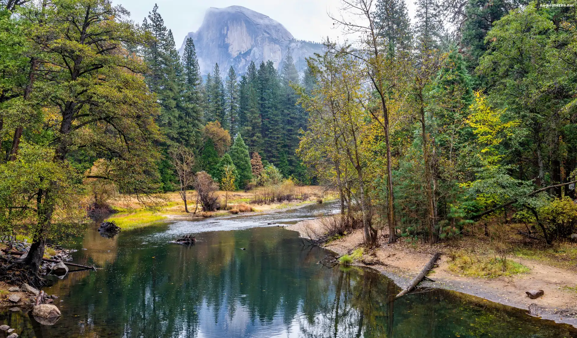 Las, Stan Kalifornia, Stany Zjednoczone, Góry, Park Narodowy Yosemite, Rzeka