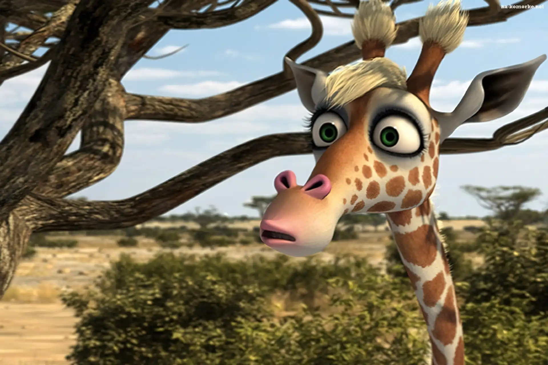 Safari 3D, Żyrafa, Żizel