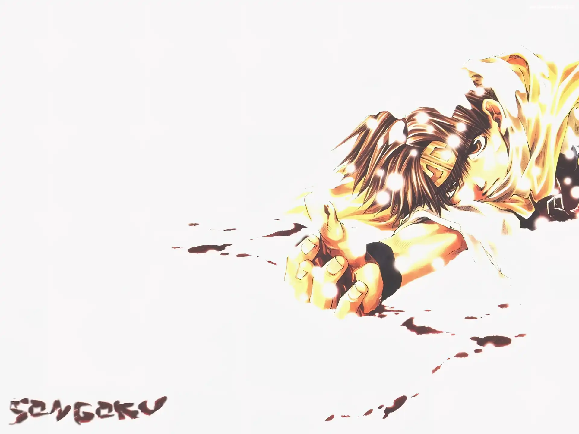 Saiyuki, krew, postać, opaska