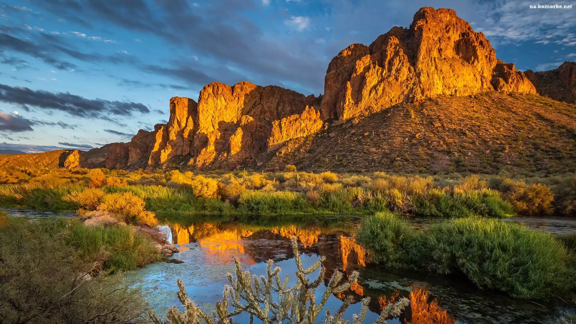 Salt River, Arizona, Góry, Stany Zjednoczone, Rośliny, Rzeka, Skały